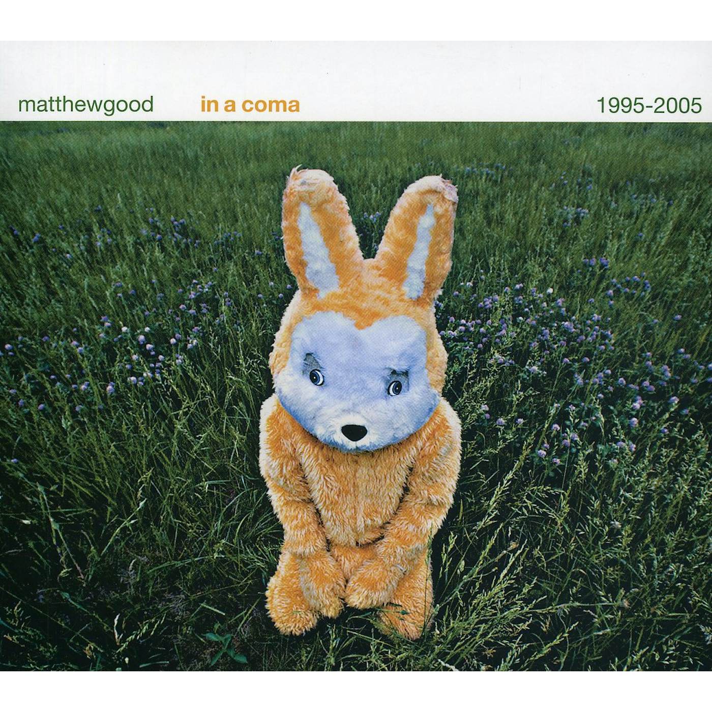 Matthew Good IN A COMA: 1995-2005 CD