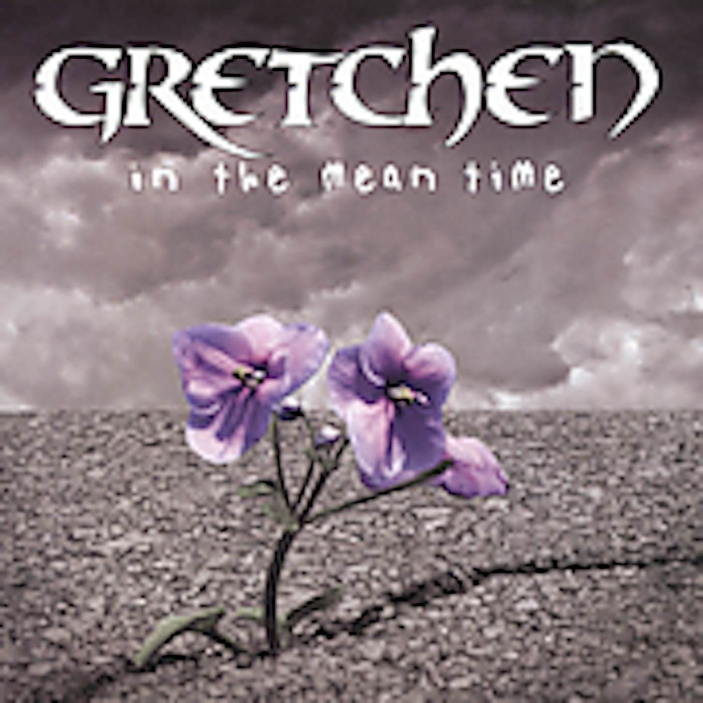 Gretchen IN THE MEAN TIME CD