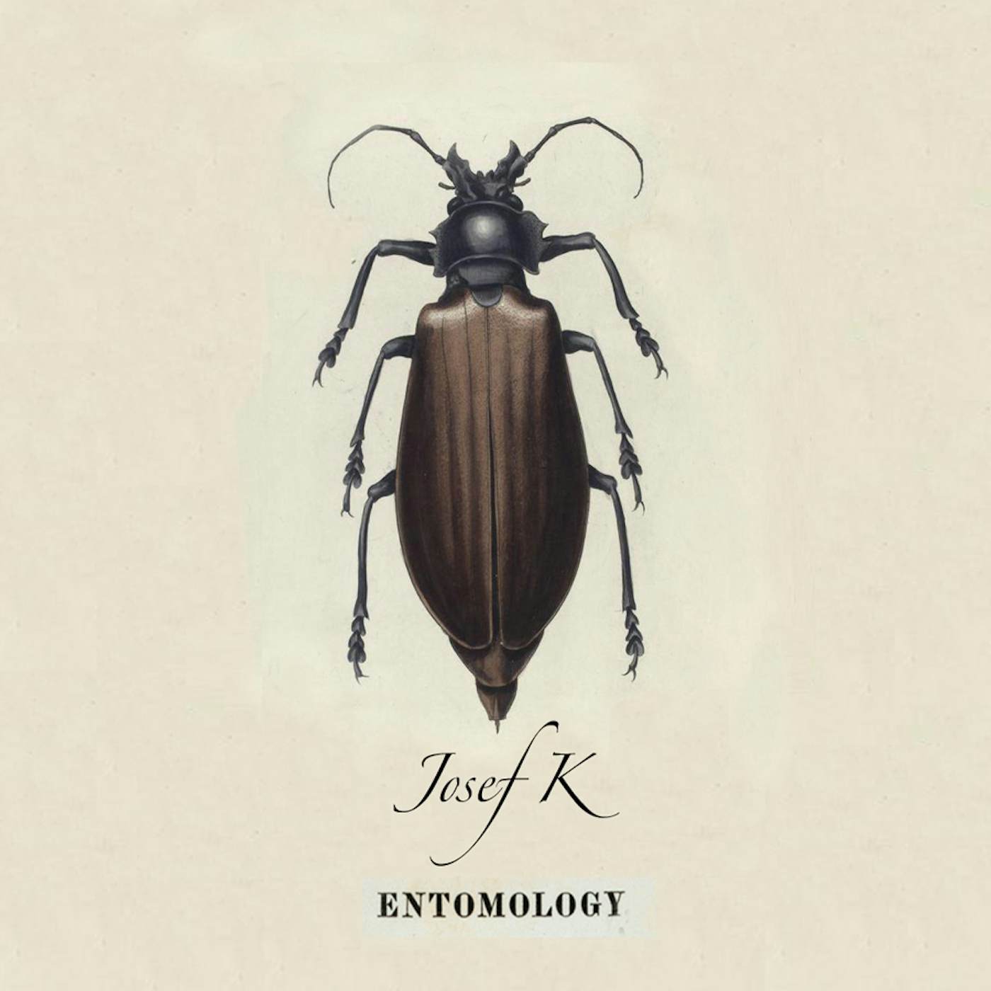 Josef K ENTOMOLOGY CD