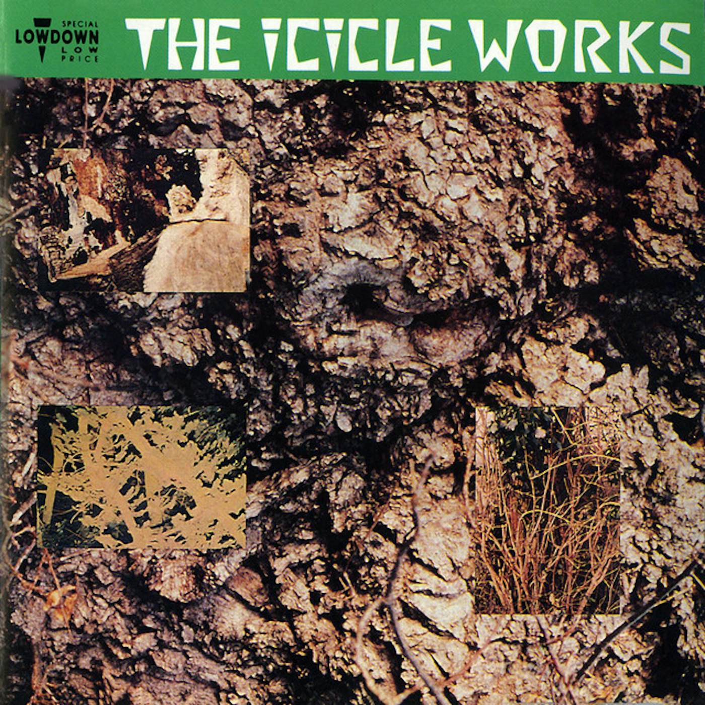 The Icicle Works CD