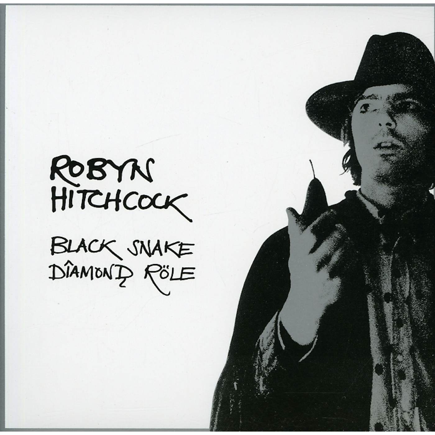 Robyn Hitchcock BLACK SNAKE DIAMOND ROLE CD