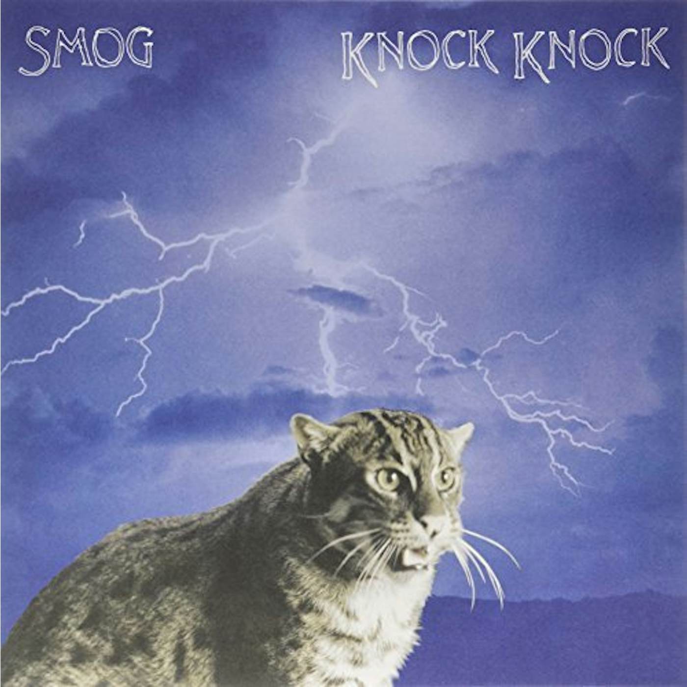 Smog Knock Knock Vinyl Record