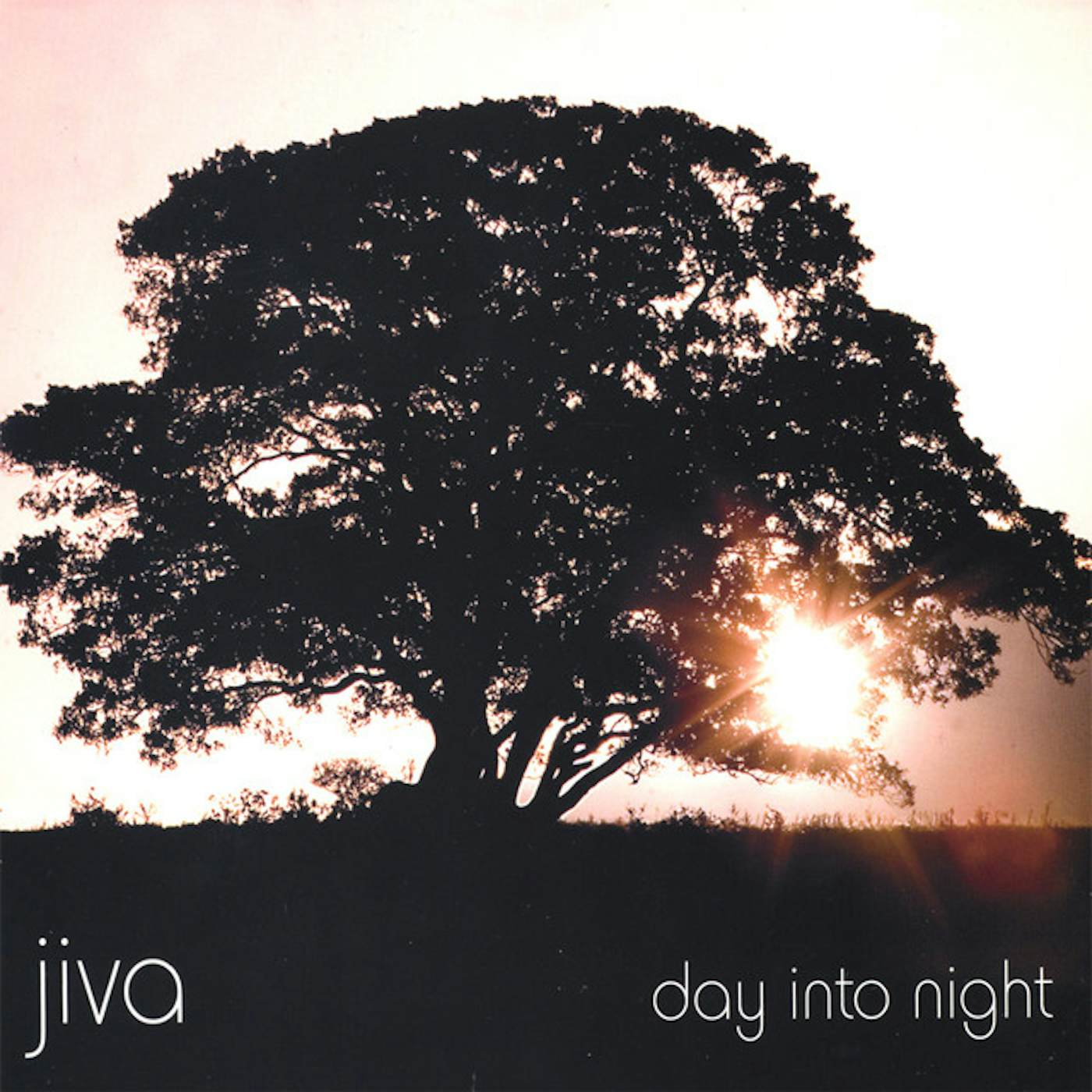 Jiva DAY INTO NIGHT CD