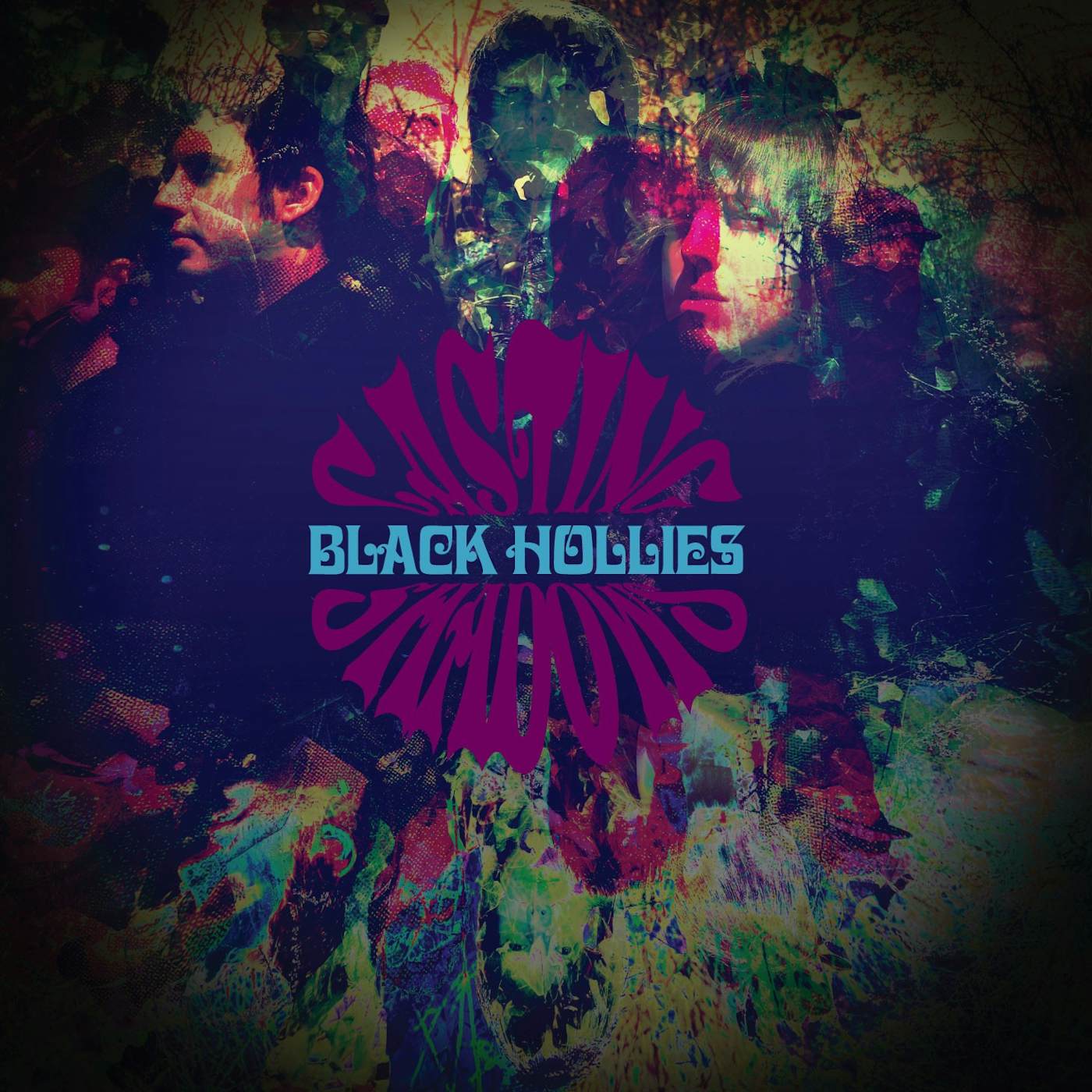 Black Hollies CASTING SHADOWS CD