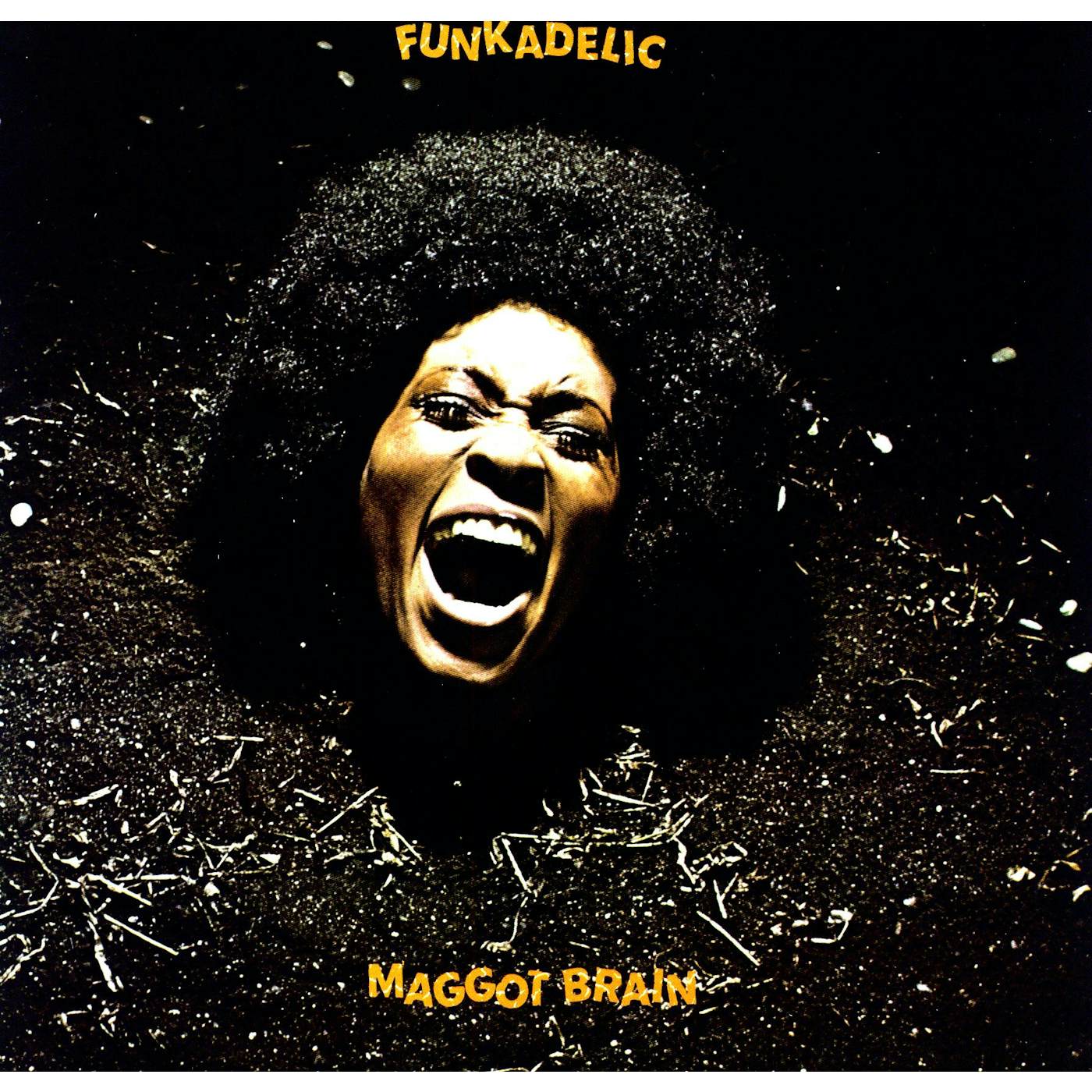 Funkadelic Maggot Brain Vinyl Record