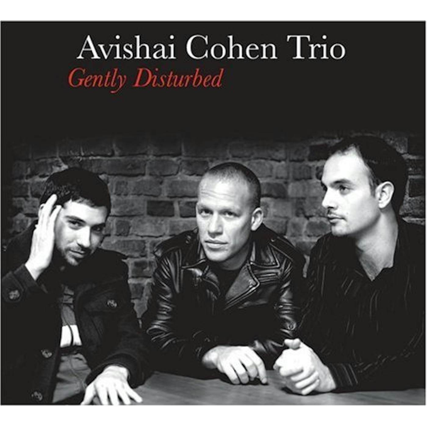 Avishai Cohen GENTLY DISTURBED CD