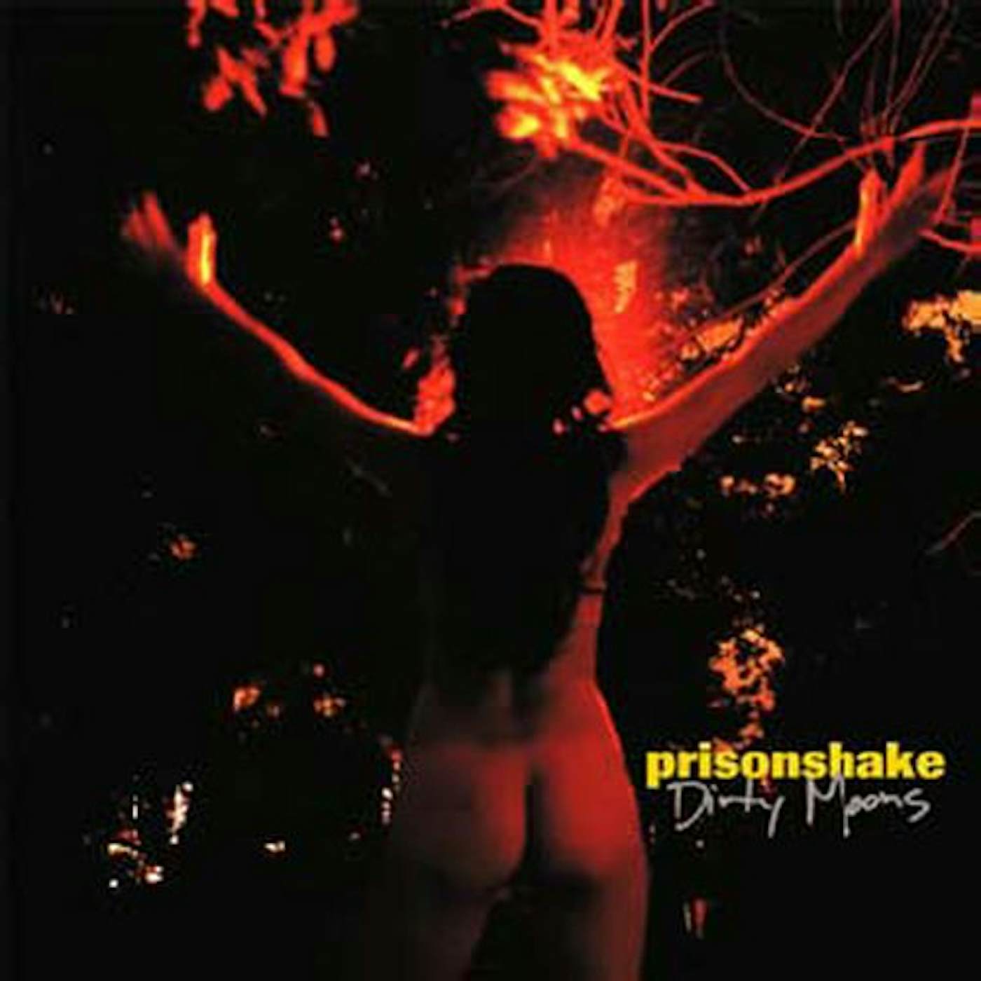 Prisonshake DIRTY MOONS CD