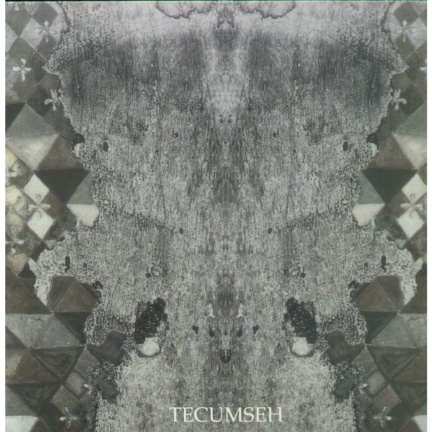 Tecumseh AVALANCHE & INUNDATION Vinyl Record