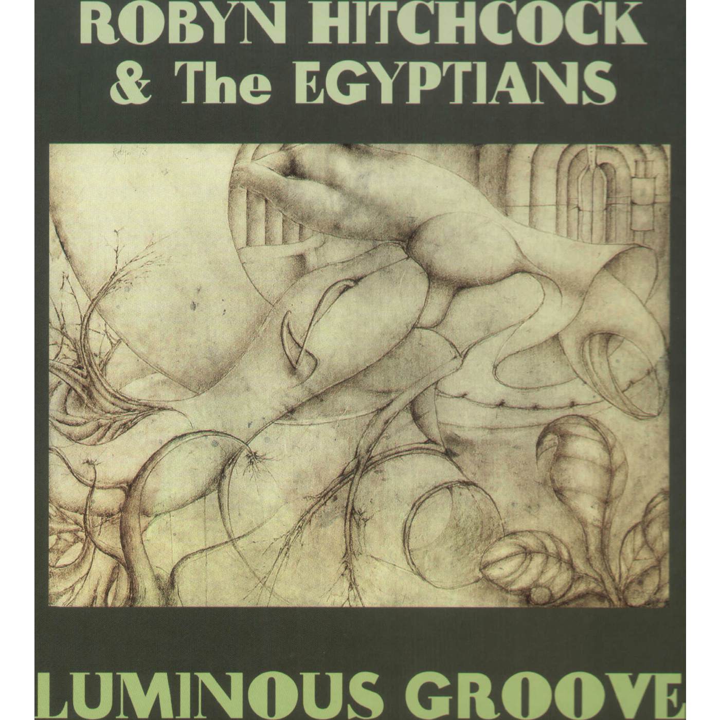 Robyn Hitchcock Luminous Groove Vinyl Record