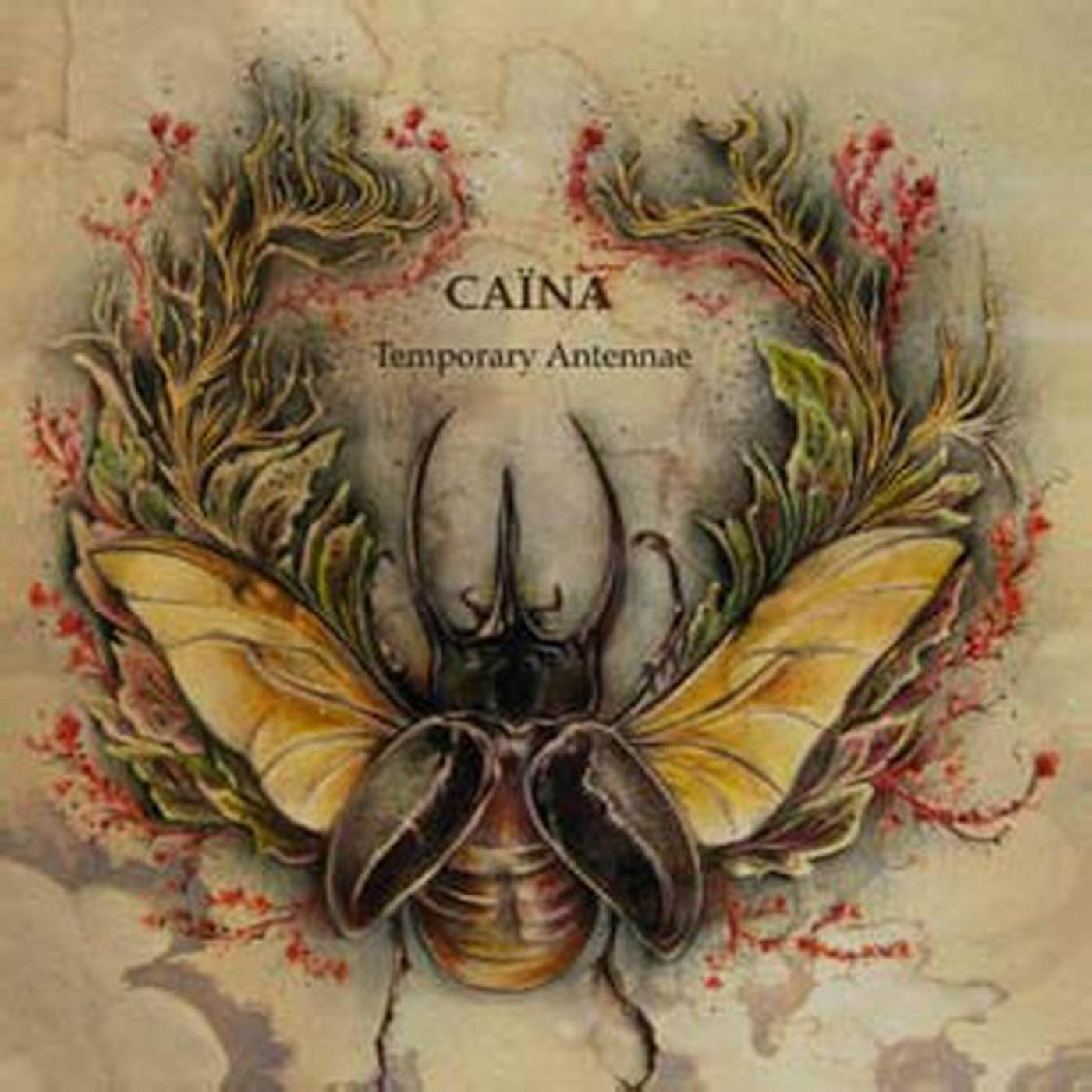Caina TEMPORARY ANTENNAE CD
