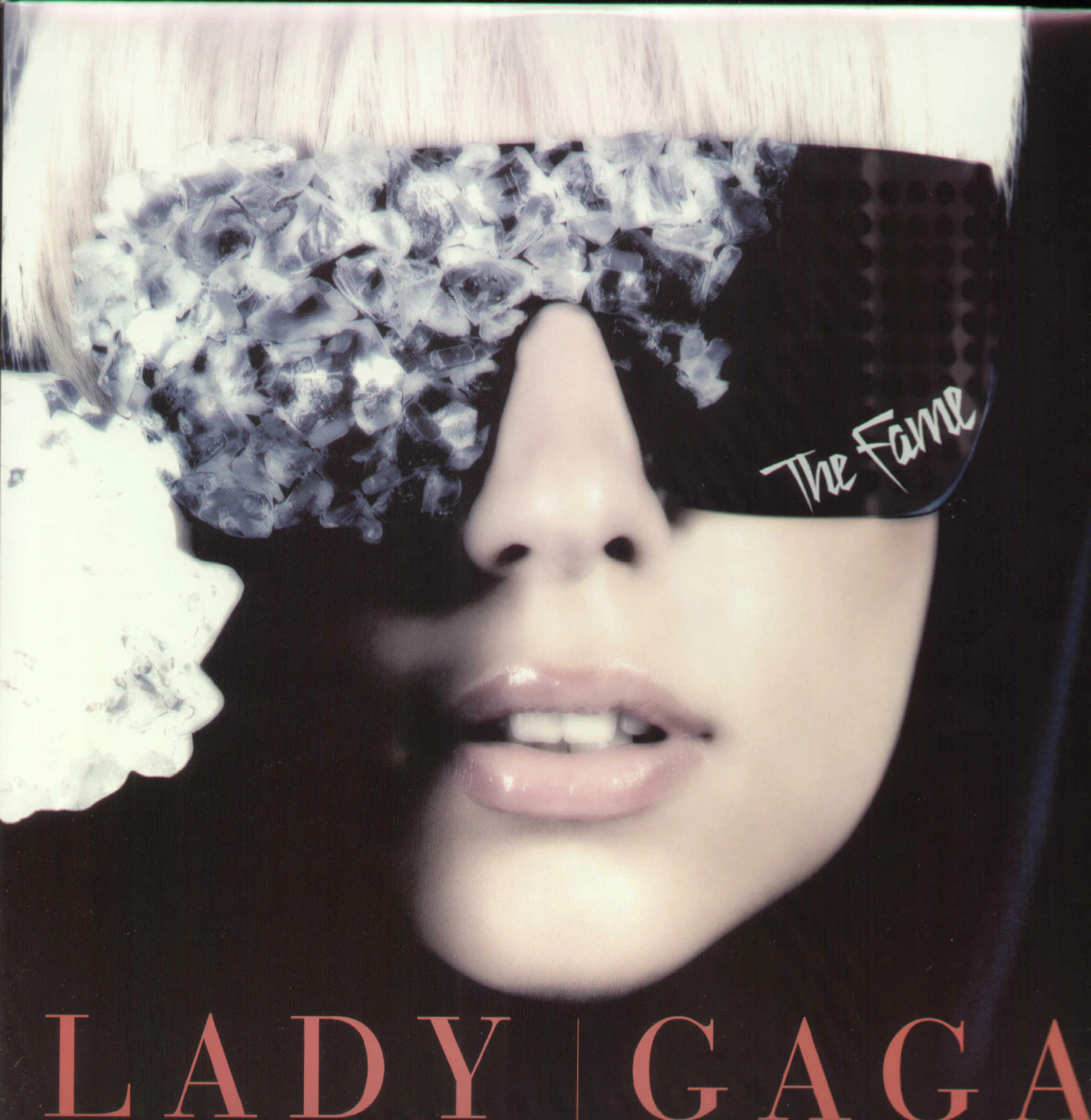 Lady Gaga FAME Vinyl Record
