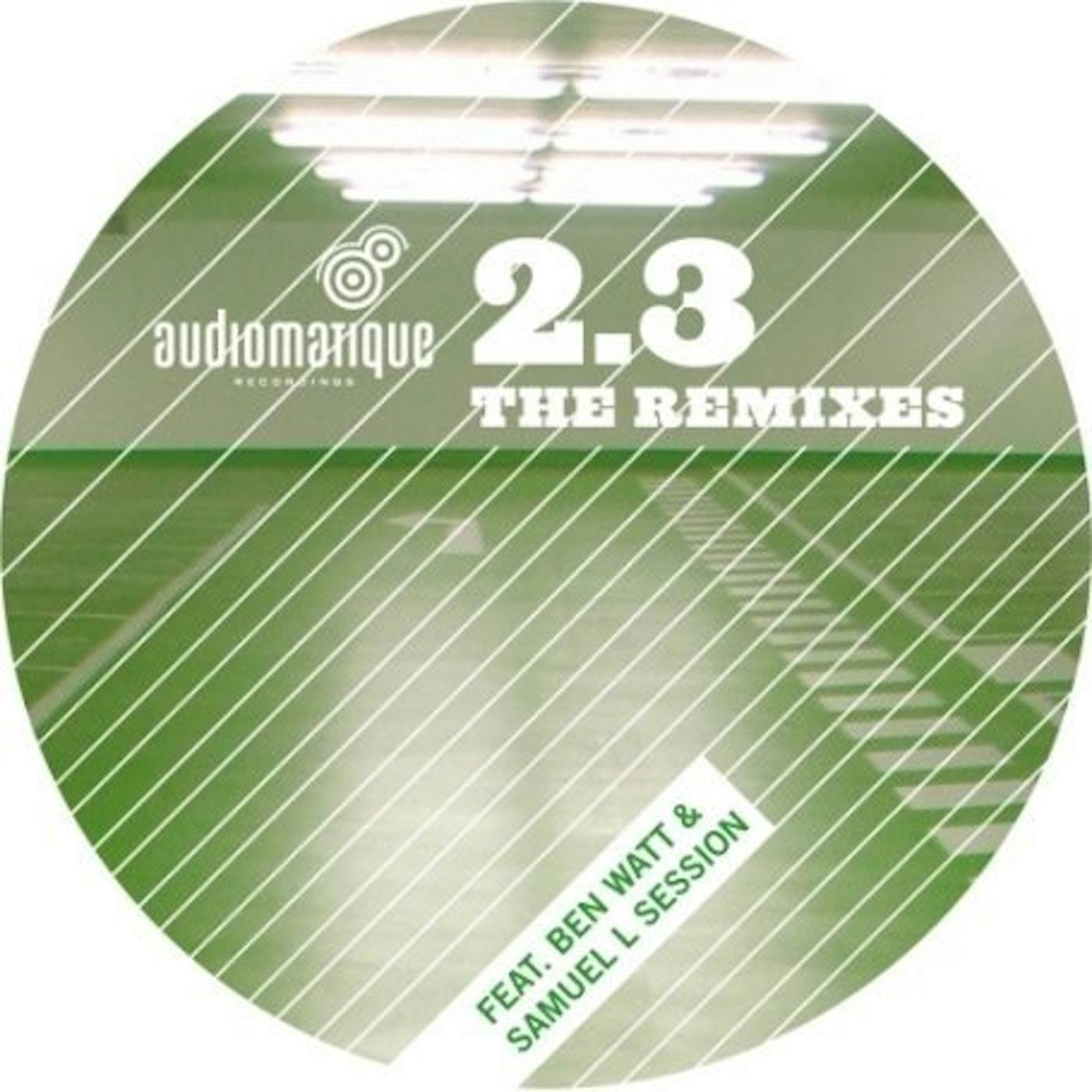 Adultnapper Audiomatique 2.3: The Remixes Vinyl Record