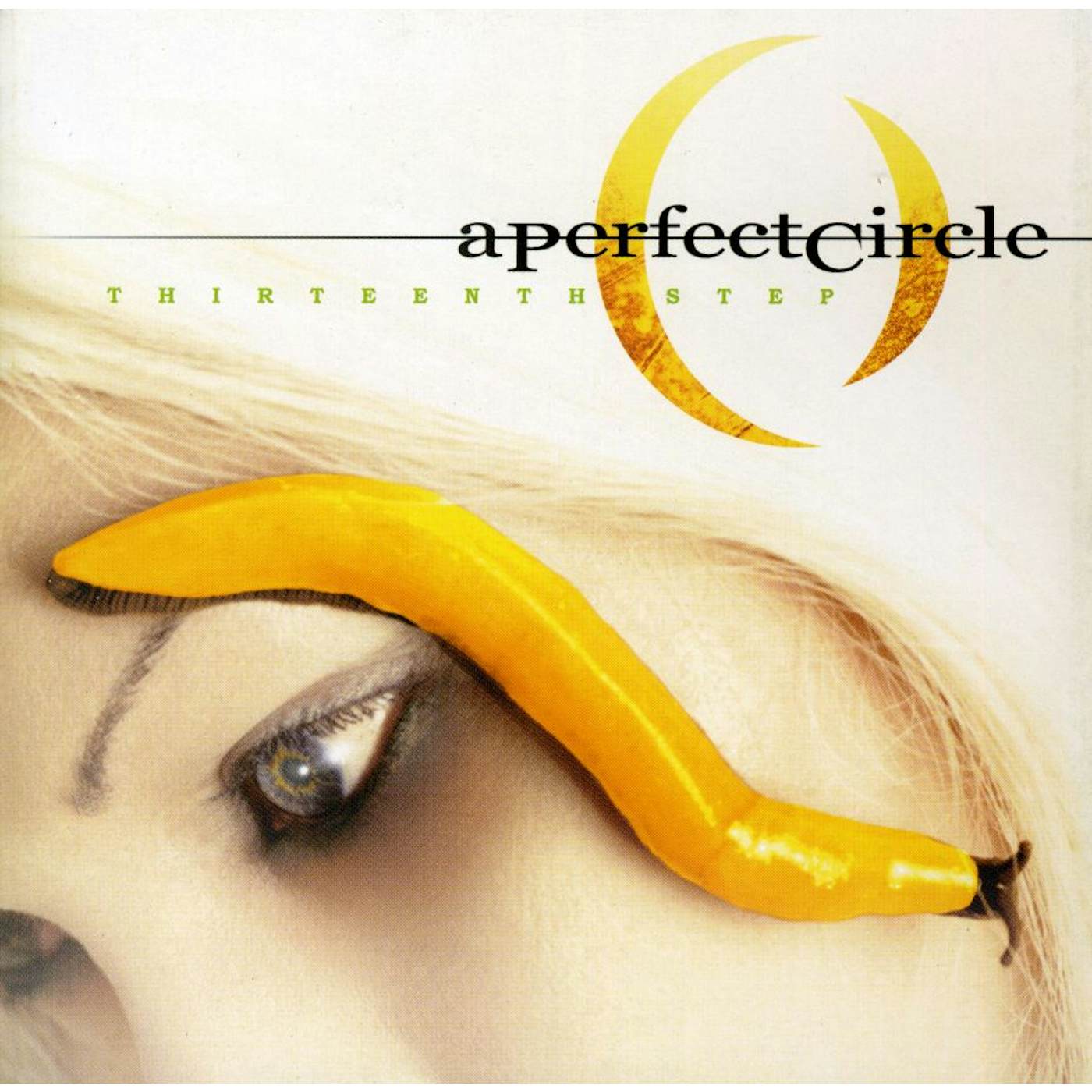 A Perfect Circle THIRTEENTH STEP CD