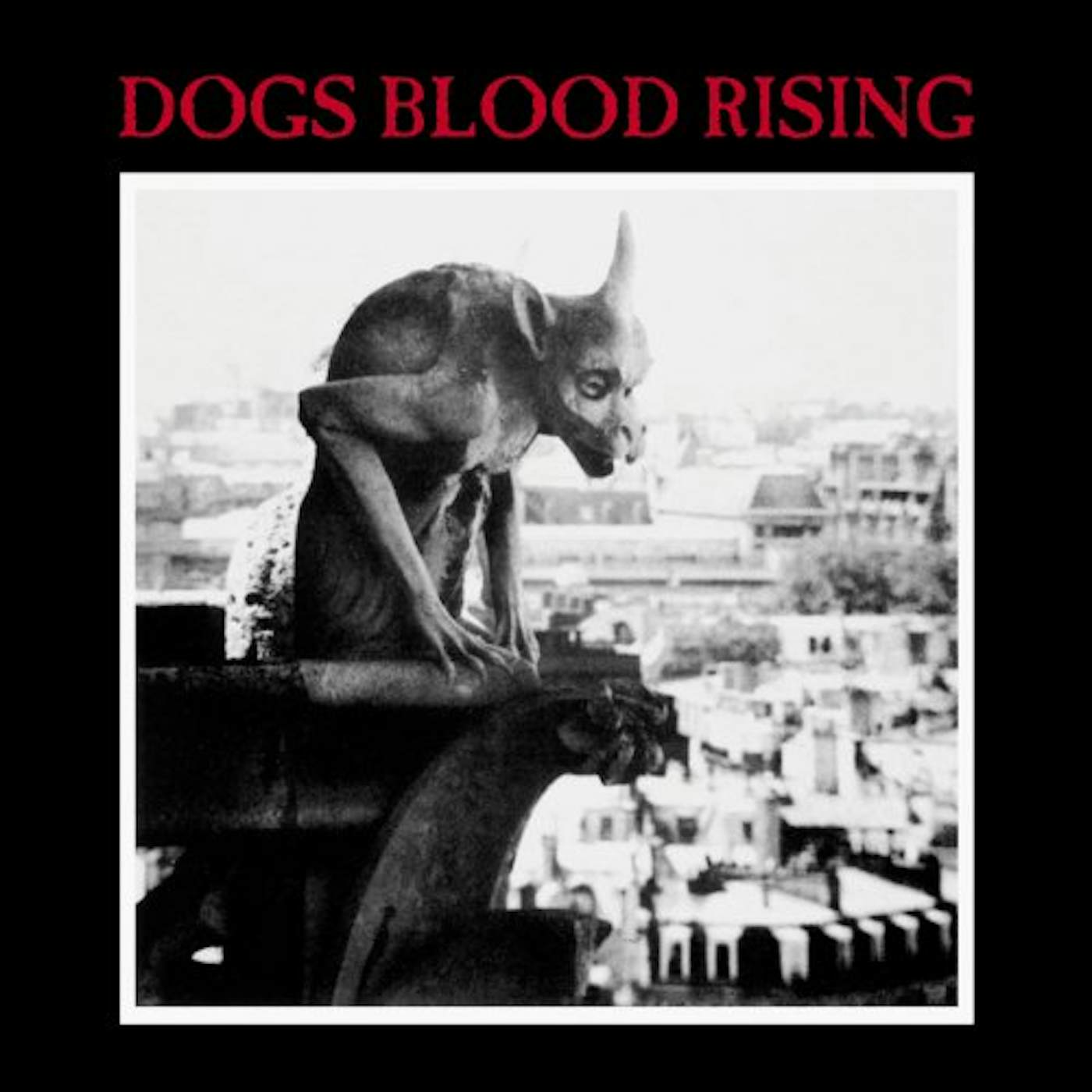 Current 93 DOGS BLOOD RISING CD