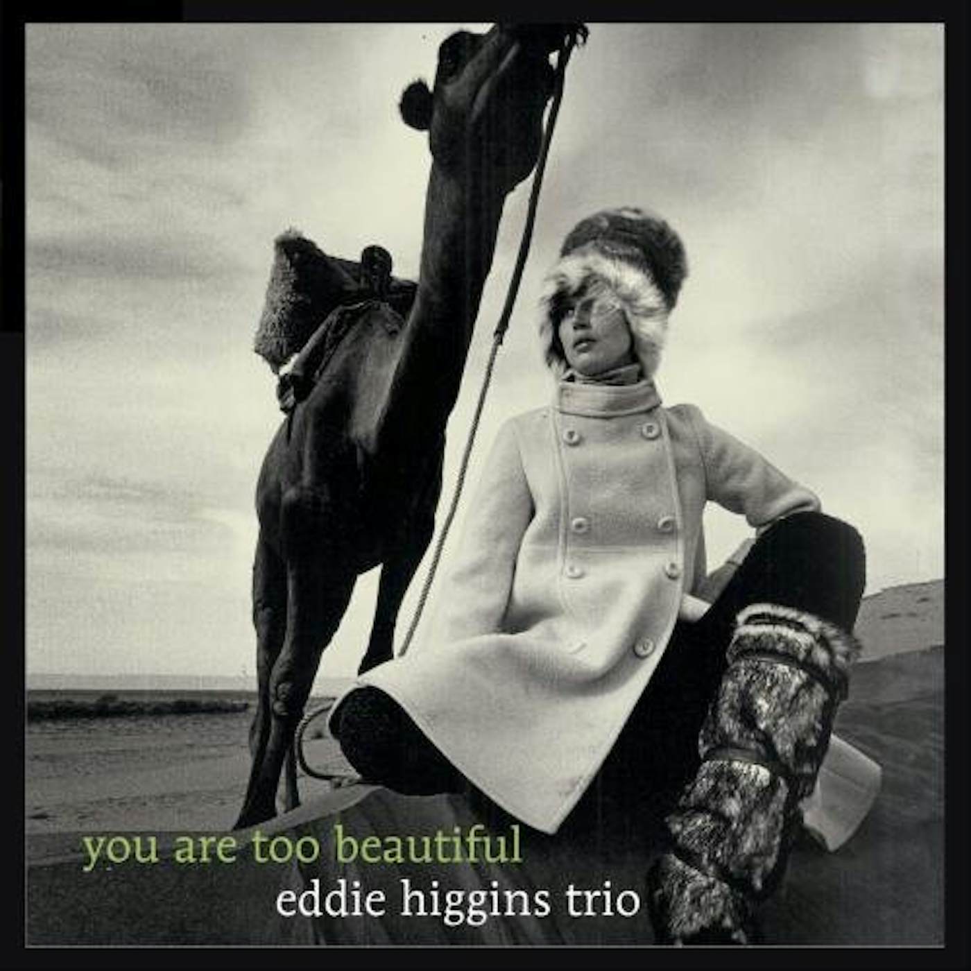 Eddie Higgins YOU ARE TOO BEAUTIFUL Vinyl Record