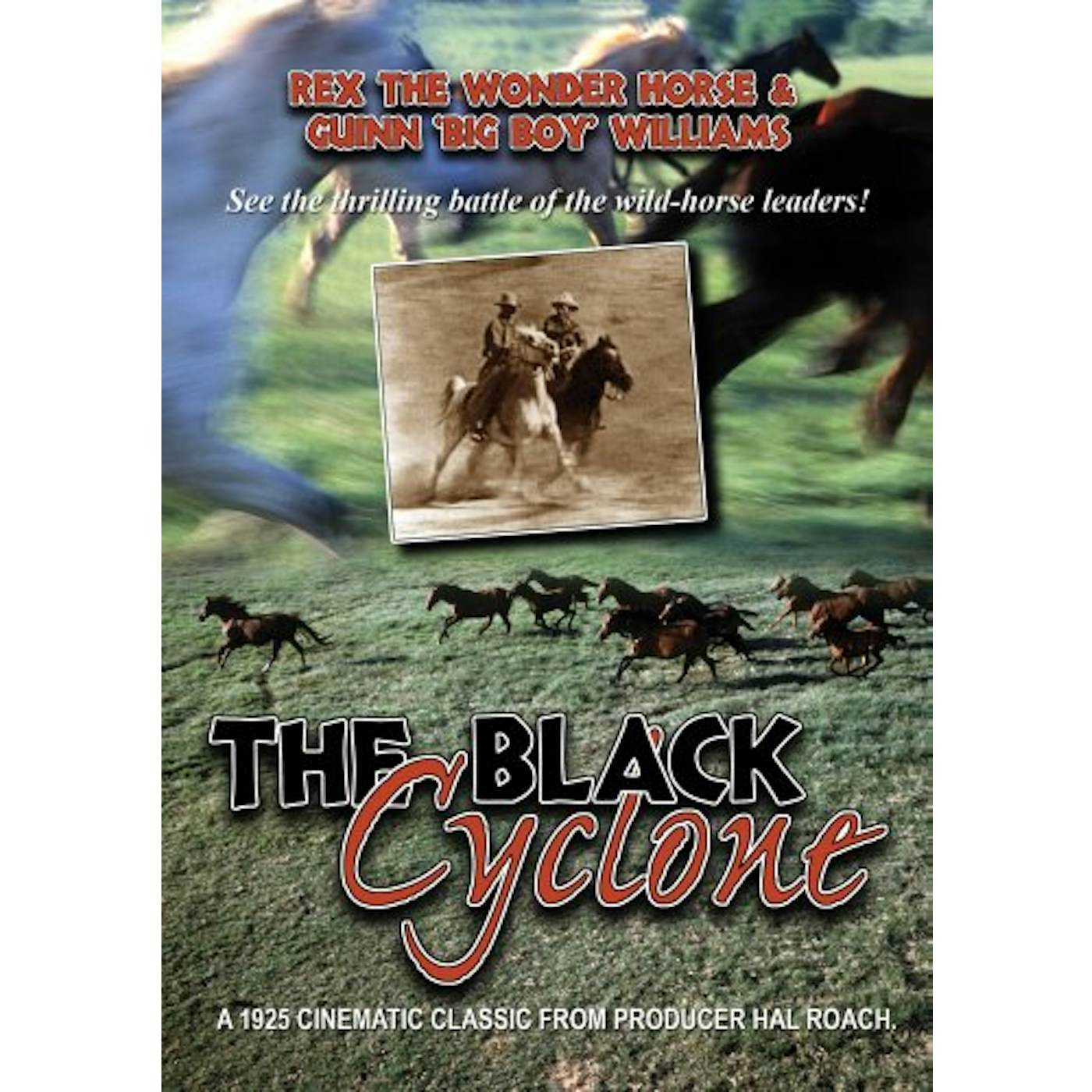 BLACK CYCLONE DVD