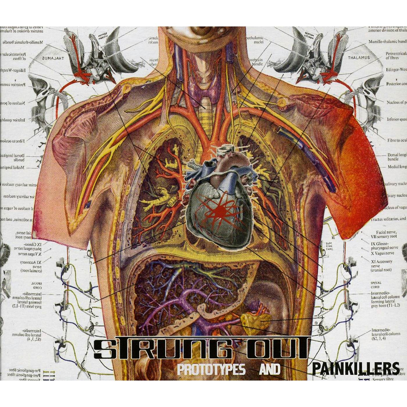 Strung Out PROTOTYPES & PAINKILLERS CD
