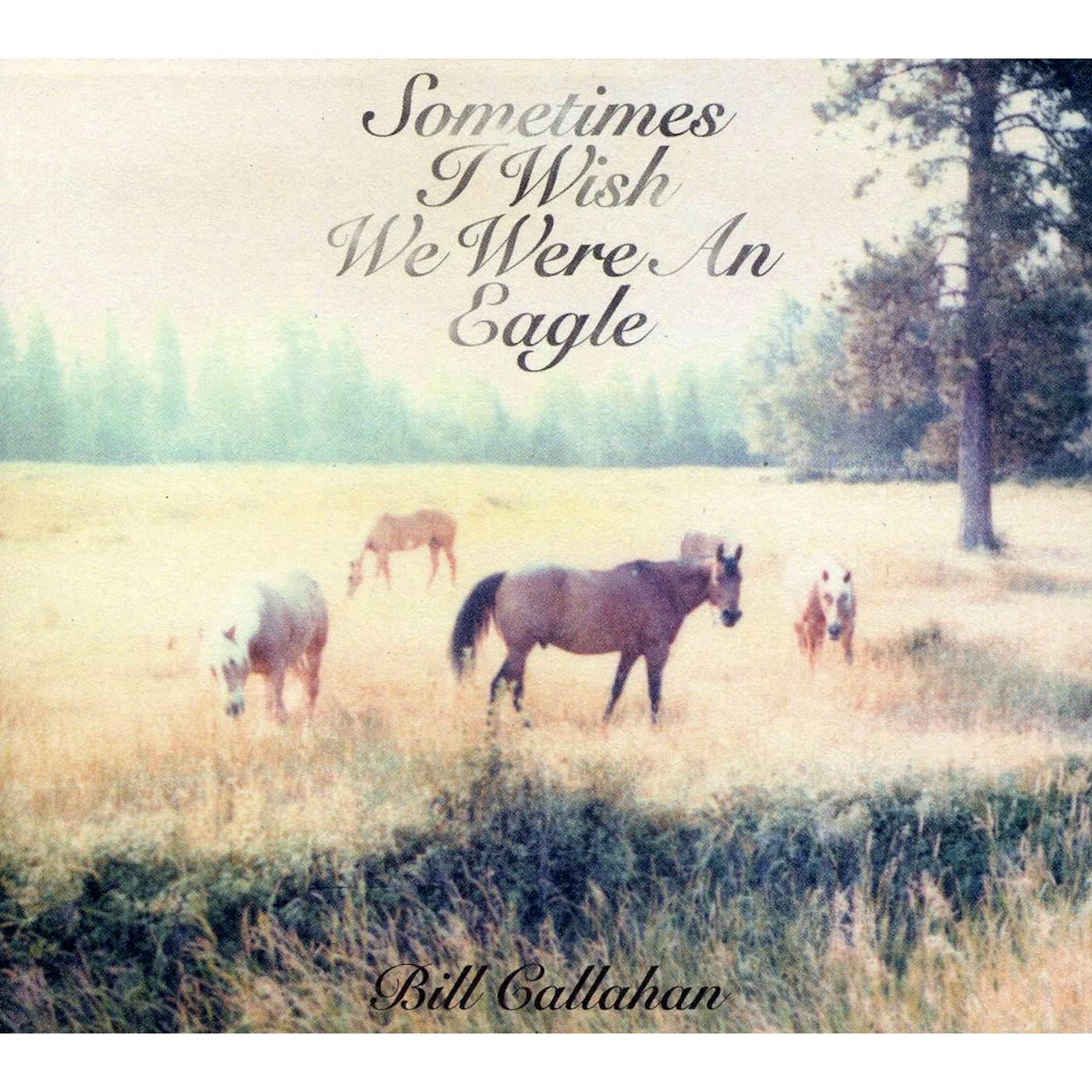 Bill Callahan SOMETIMES I WISH WE WERE AN EAGLE CD