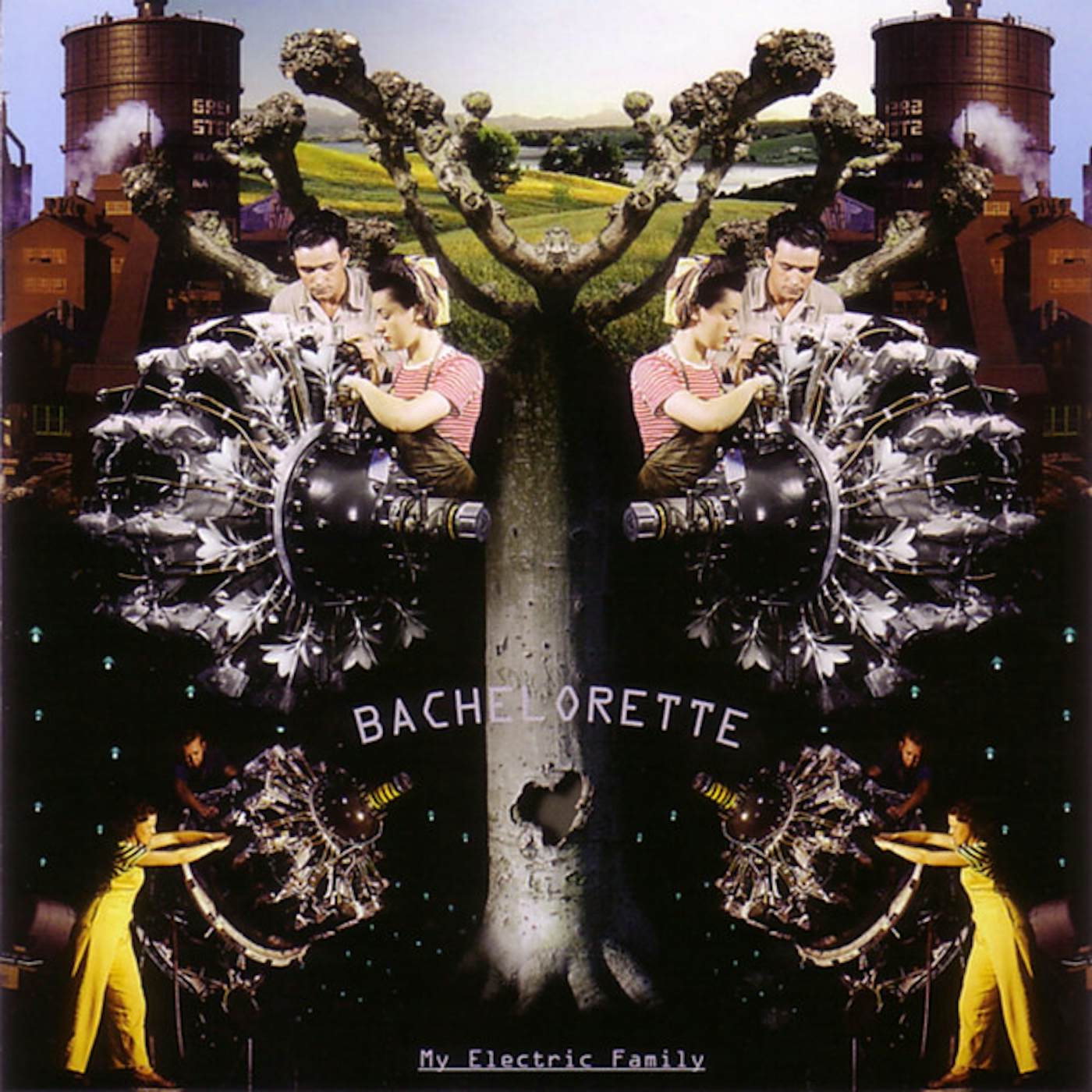Bachelorette My Electric Family Vinyl Record