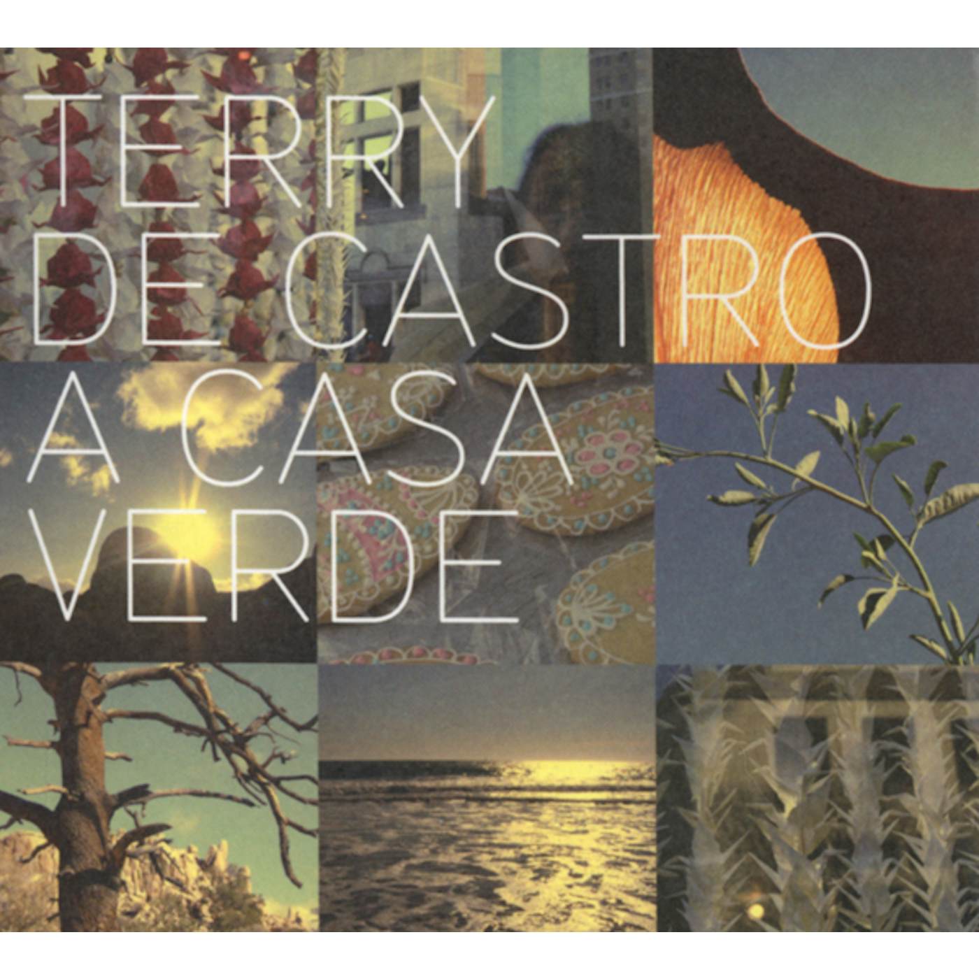 Terry De Castro CASA VERDE CD