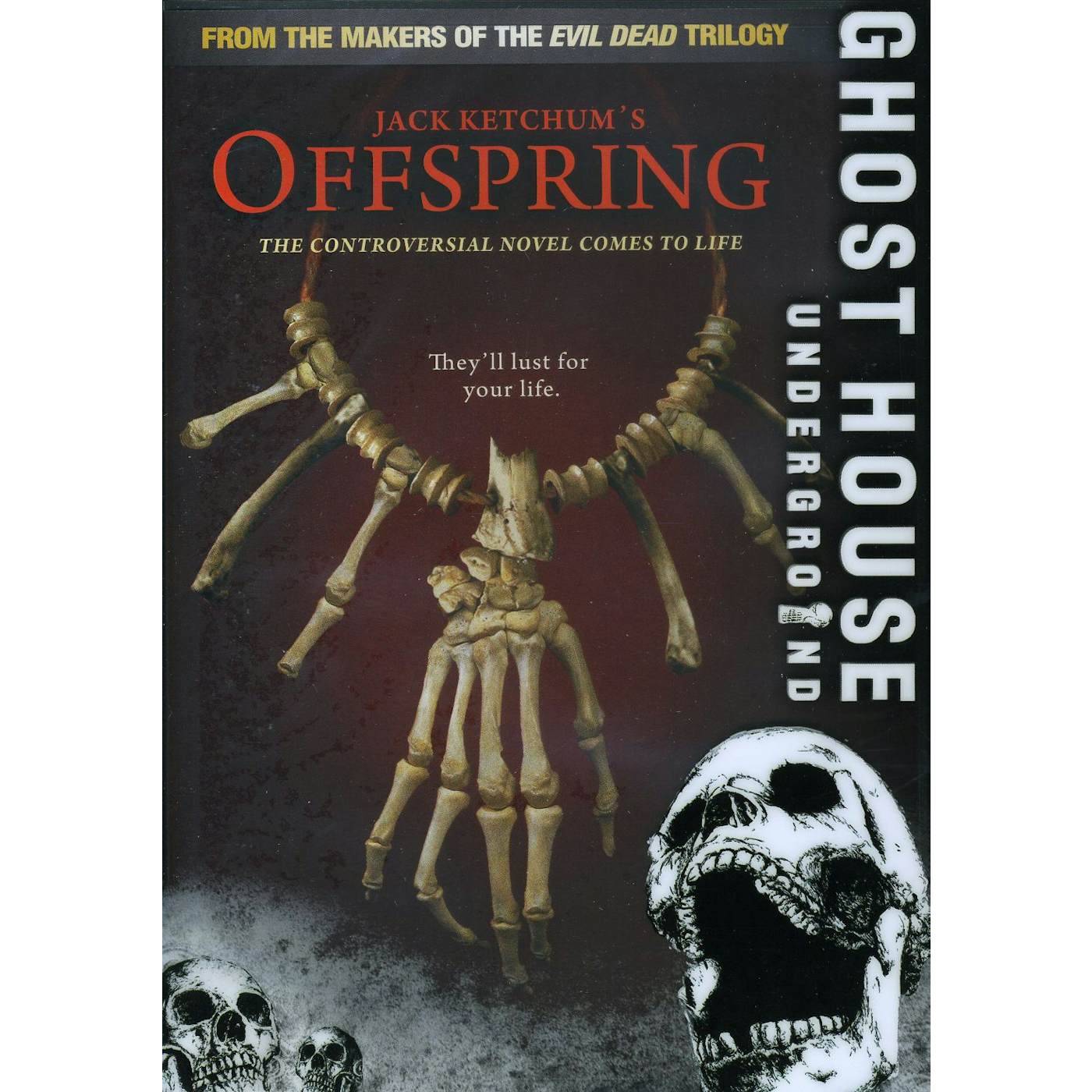 The Offspring DVD