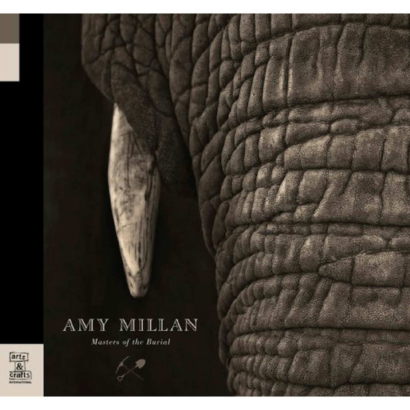 Amy Millan Masters Of The Burial Vinyl Record