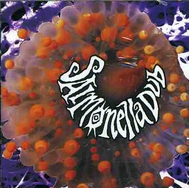 salmonella-dub-store-official-merch-vinyl