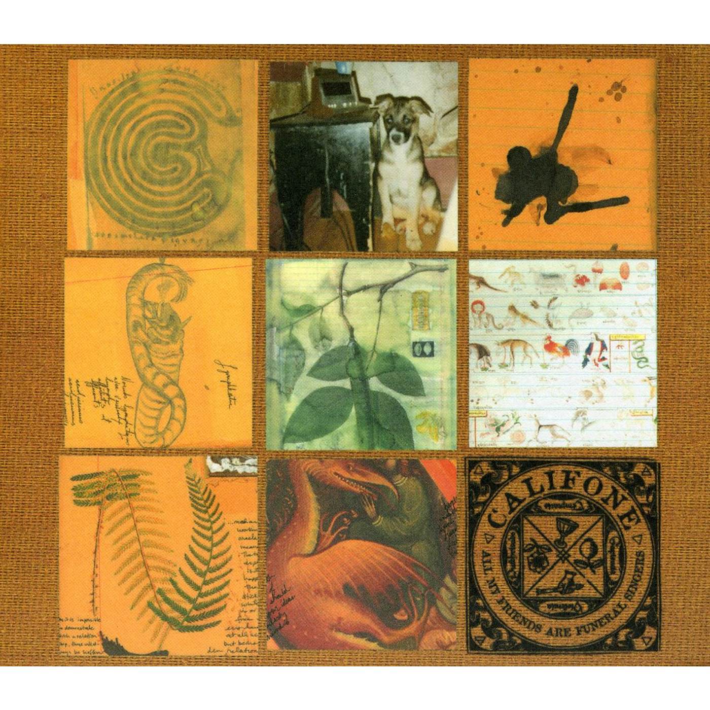Califone ALL MY FRIENDS ARE FUNERAL SINGERS CD