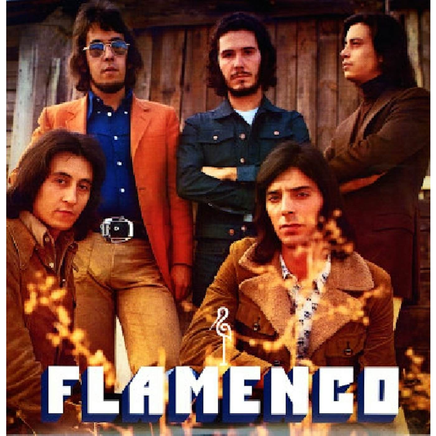 Flamenco Vinyl Record