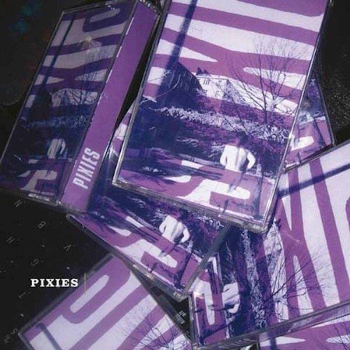 PIXIES Vinyl Record
