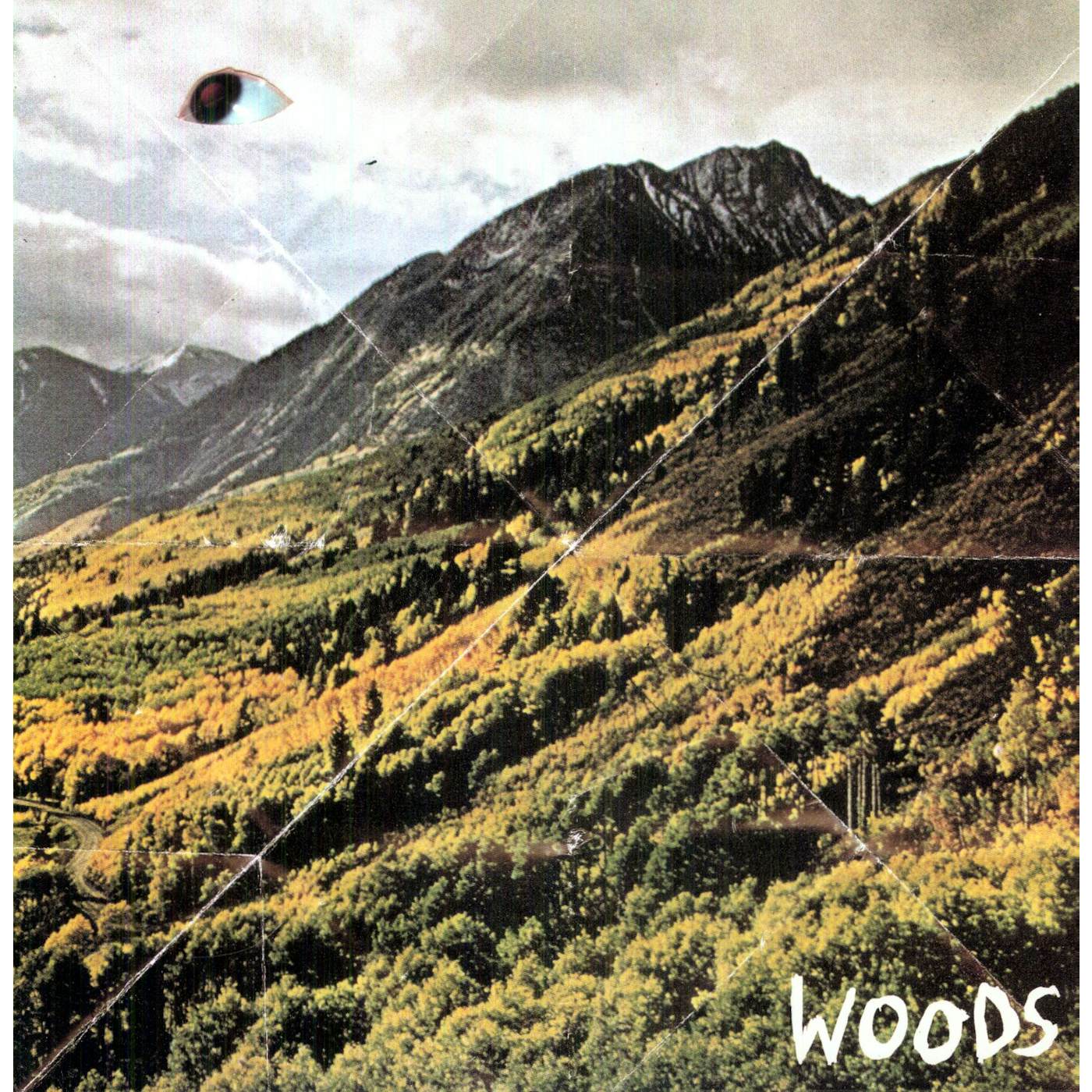 Woods Songs of Shame Vinyl Record