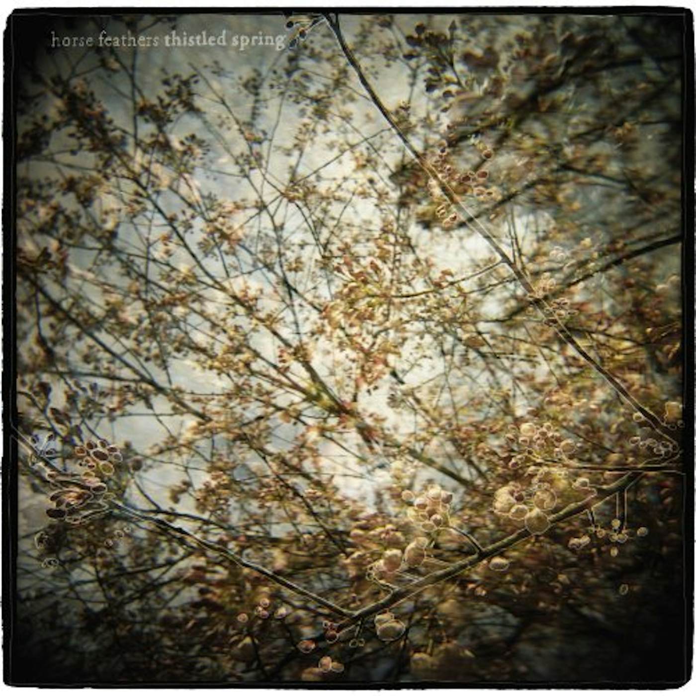 Horse Feathers THISTLED SPRING CD