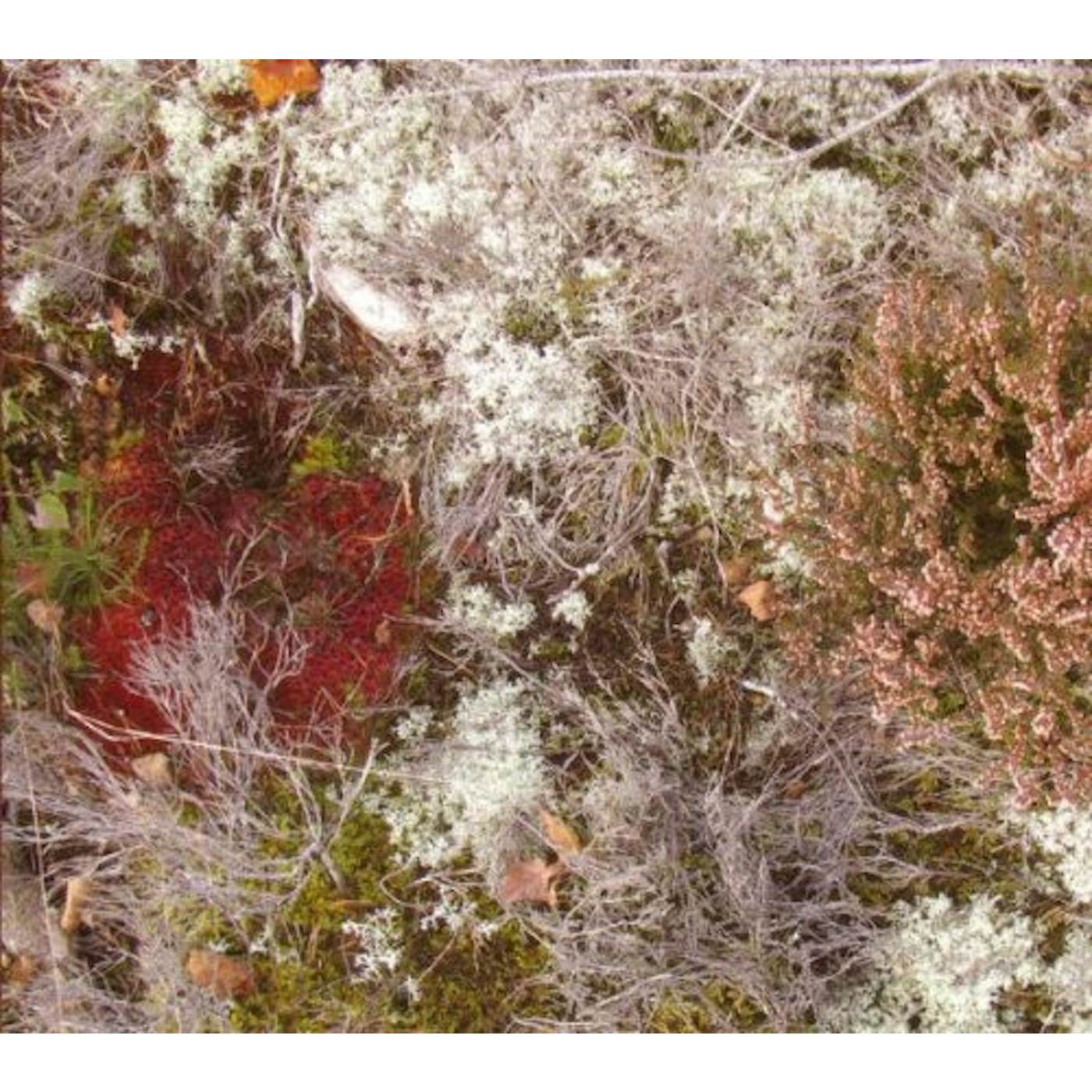 Fursaxa Mycorrhizae Realm Vinyl Record