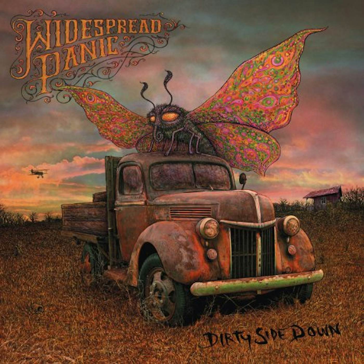 Widespread Panic DIRTY SIDE DOWN (W/CD) (OGV) (Vinyl)
