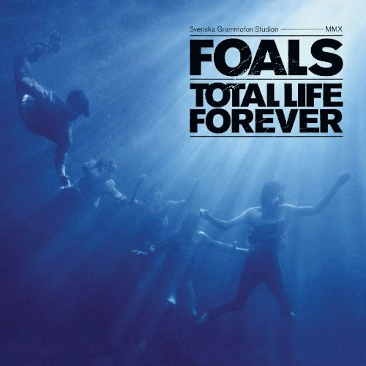 Foals Total Life Forever Vinyl Record