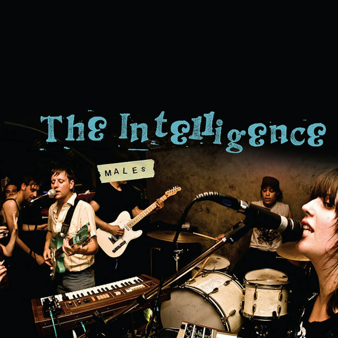 Intelligence Males Vinyl Record