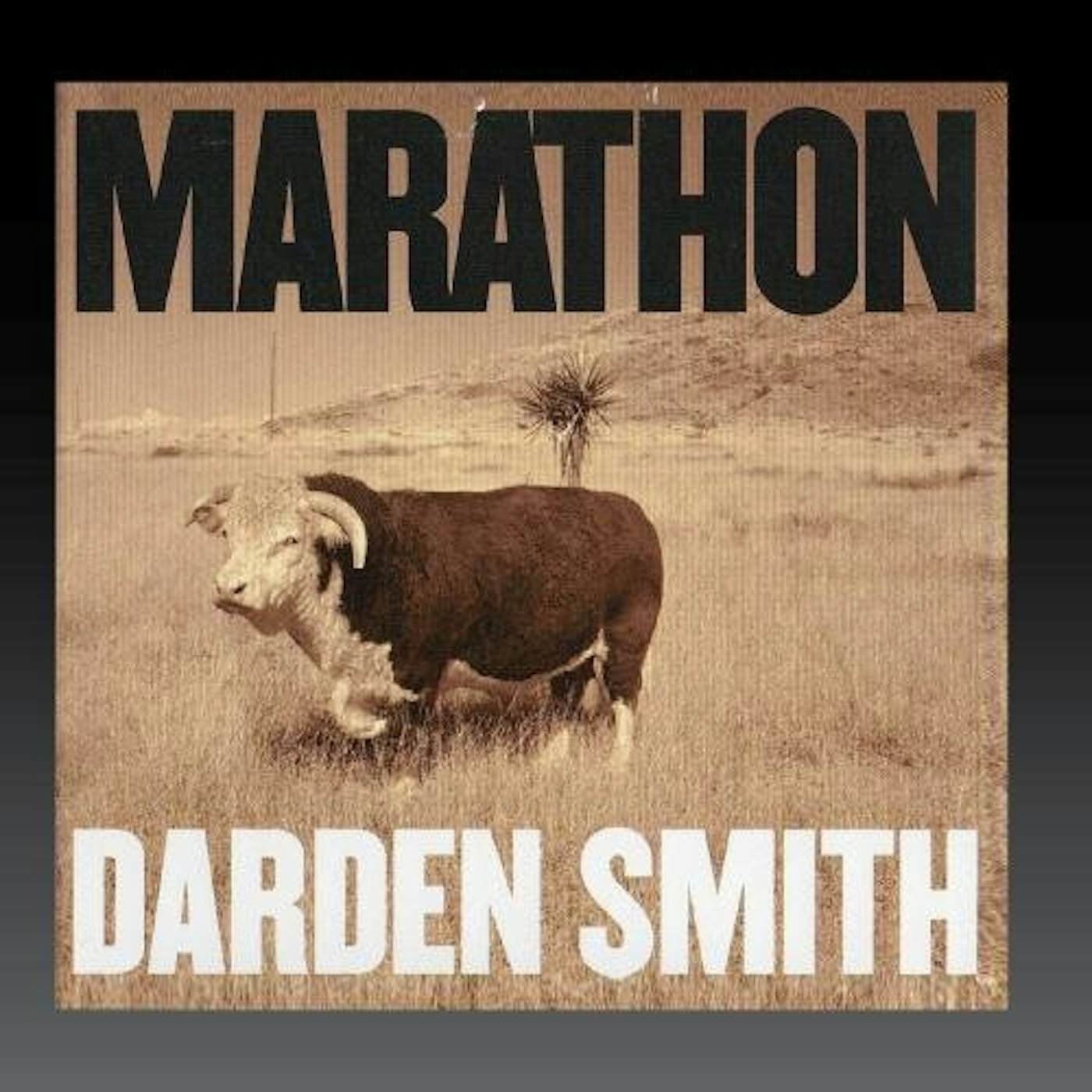 Darden Smith MARATHON CD