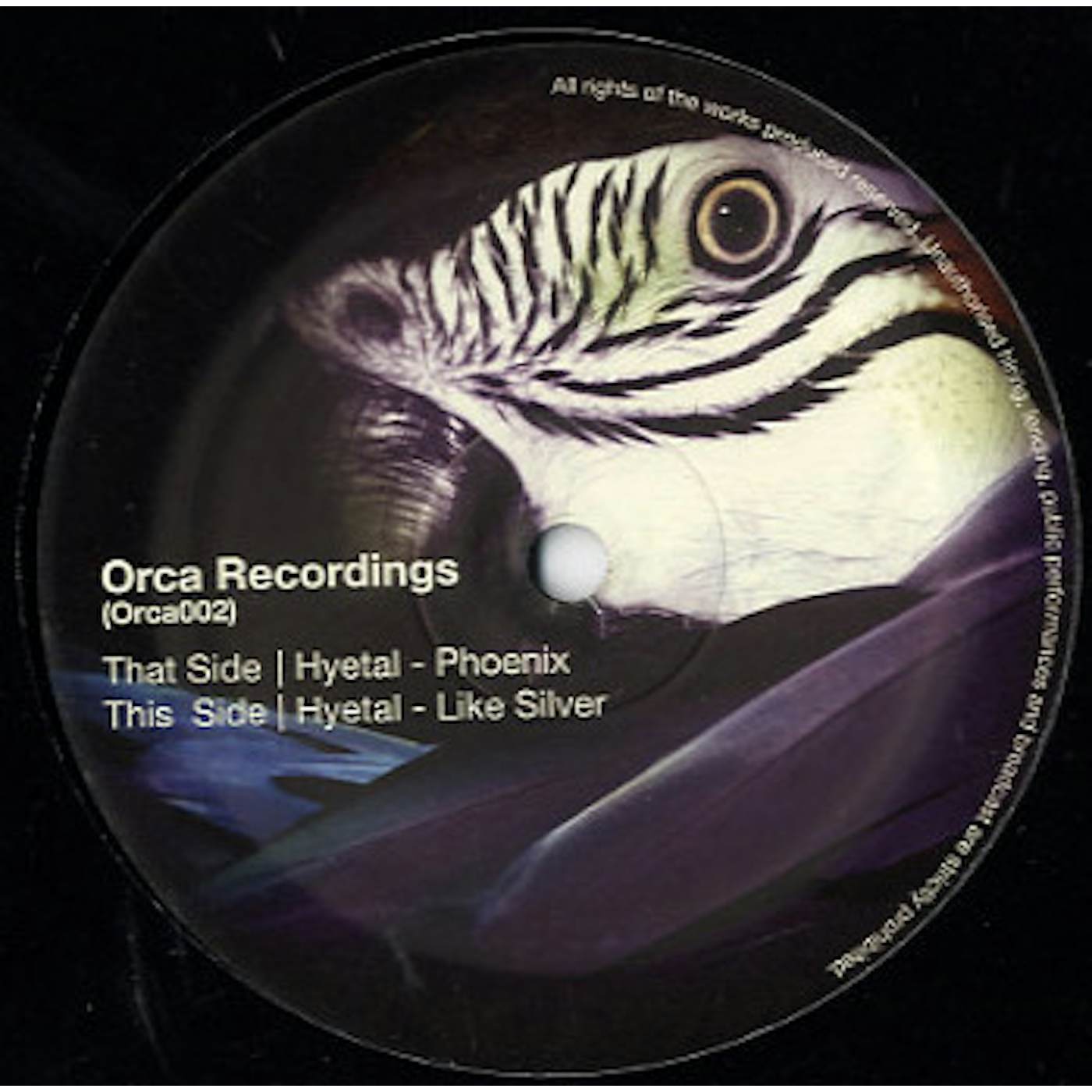 Hyetal PHOENIX & LIKE SILVER Vinyl Record
