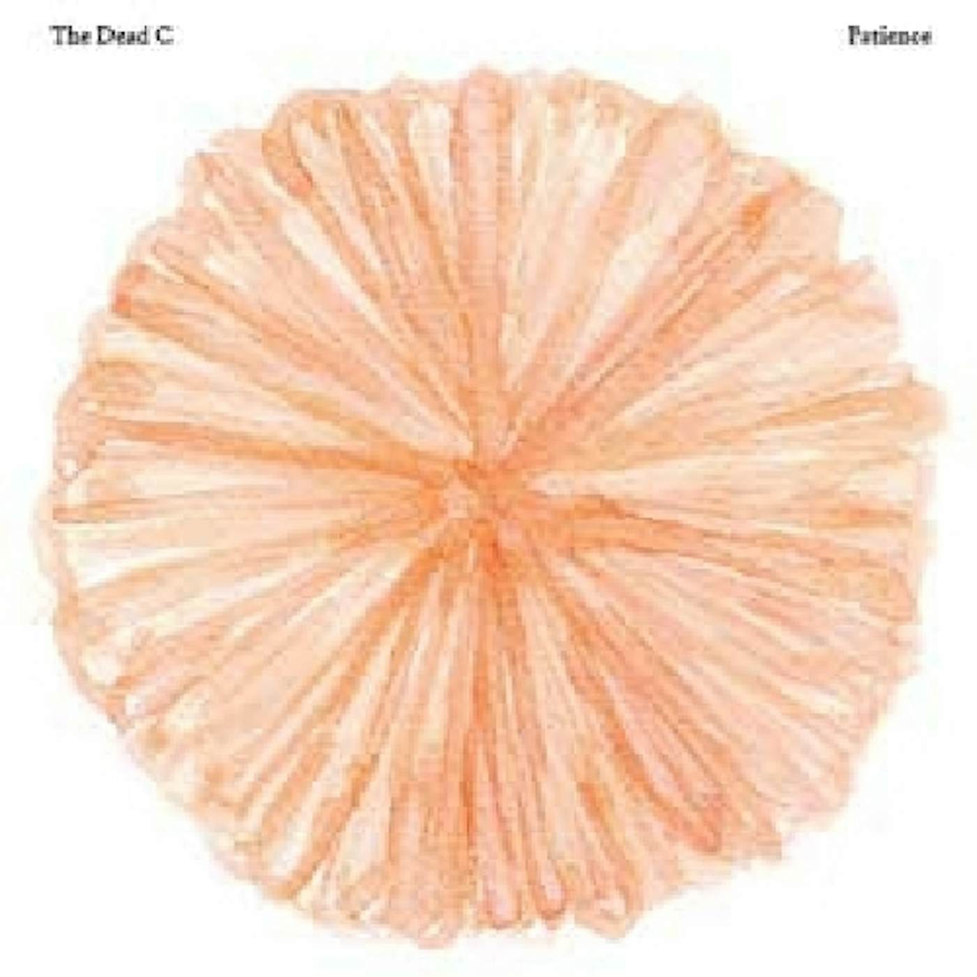 The Dead C PATIENCE CD