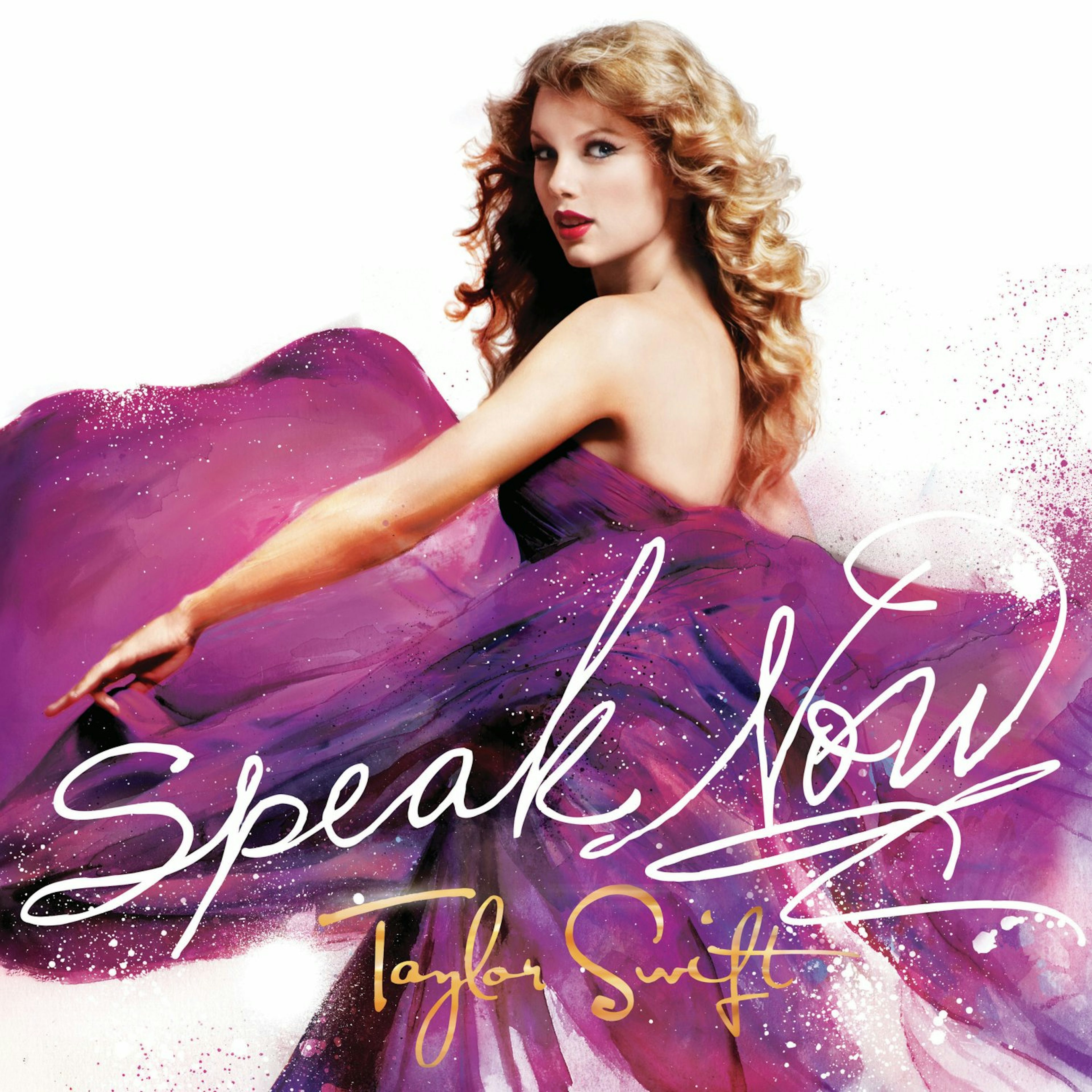 Taylor Swift SPEAK NOW Vinyl Record