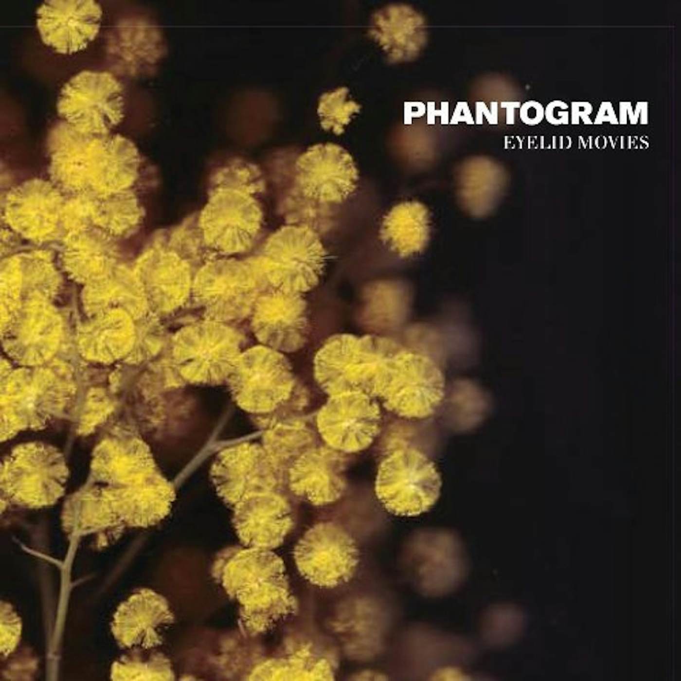 Phantogram Eyelid Movies Vinyl Record
