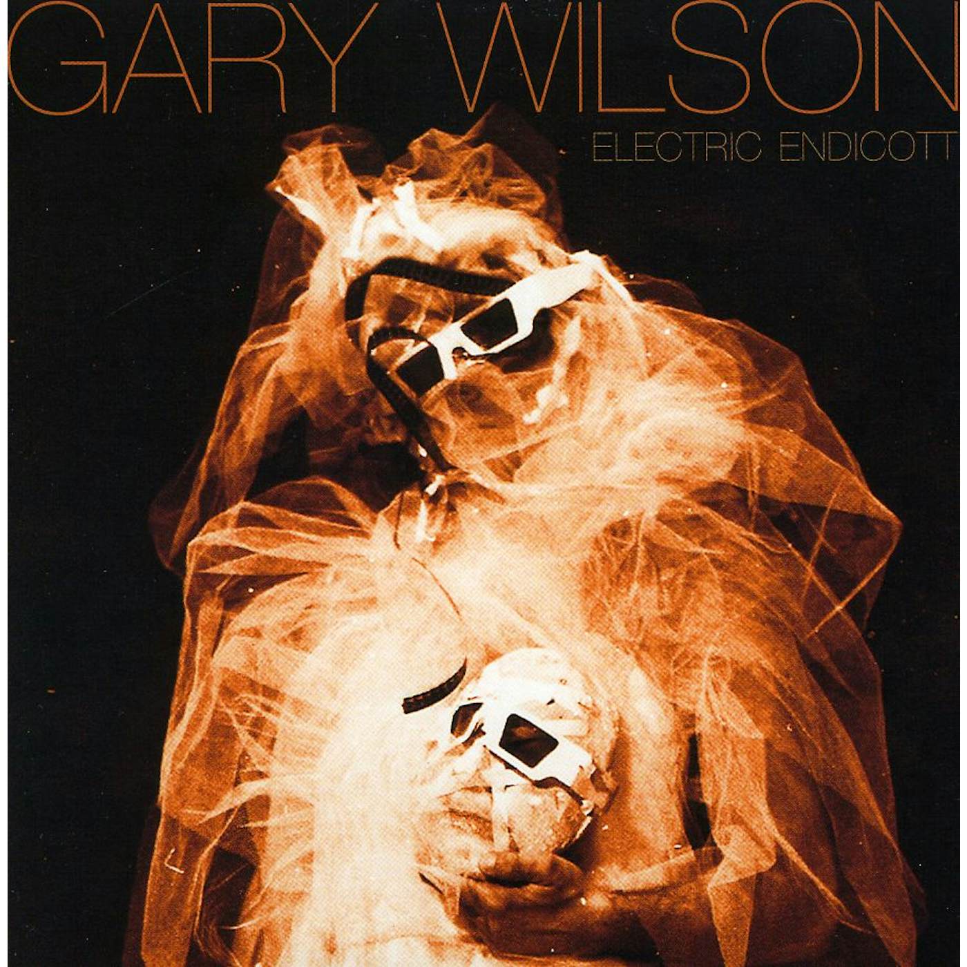Gary Wilson ELECTRIC ENDICOTT CD