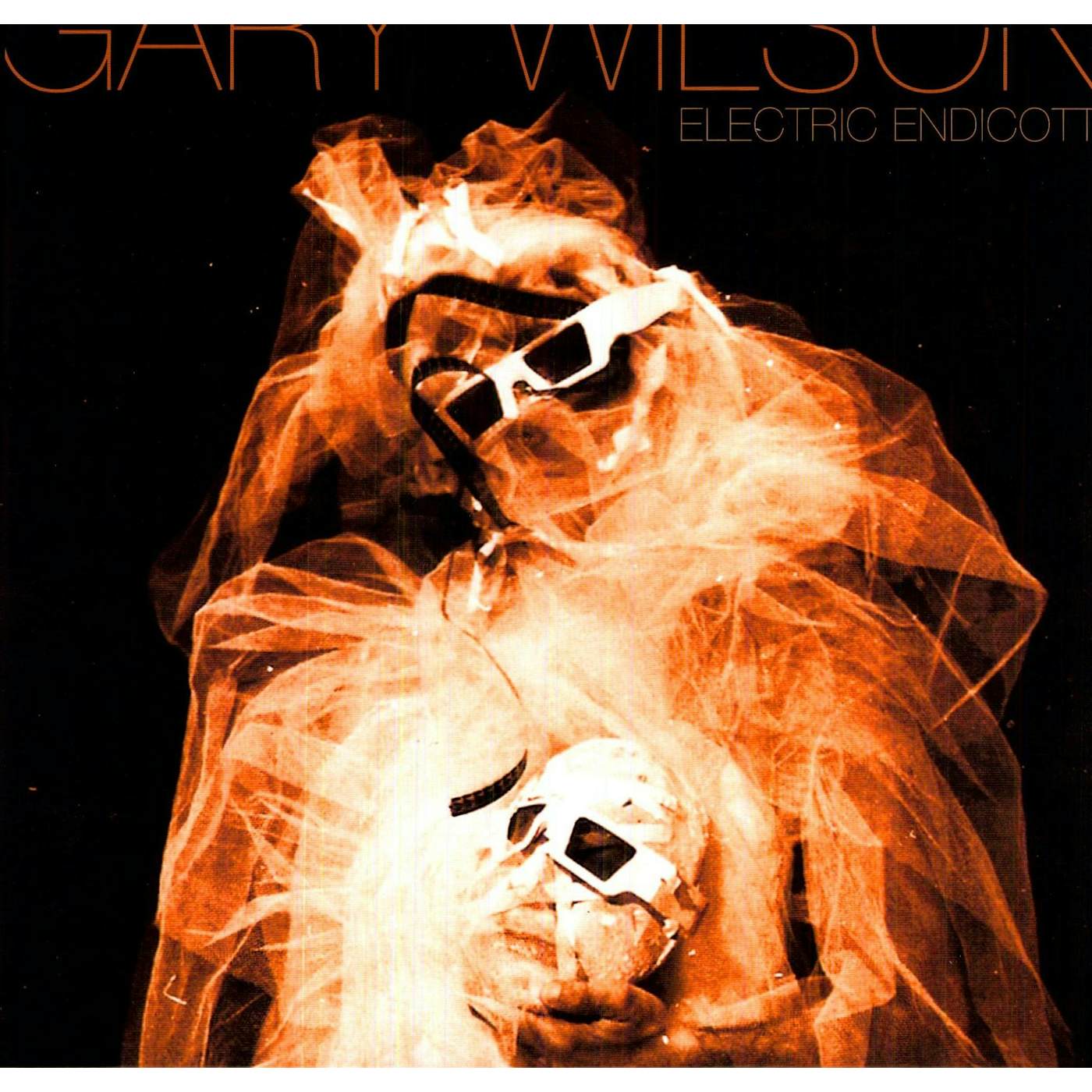Gary Wilson Electric Endicott Vinyl Record