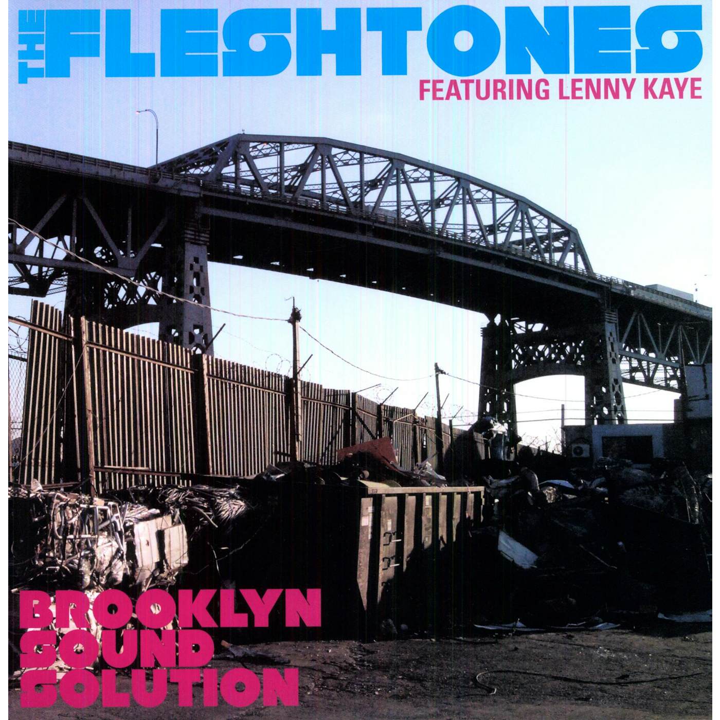 The Fleshtones Brooklyn Sound Solution Vinyl Record