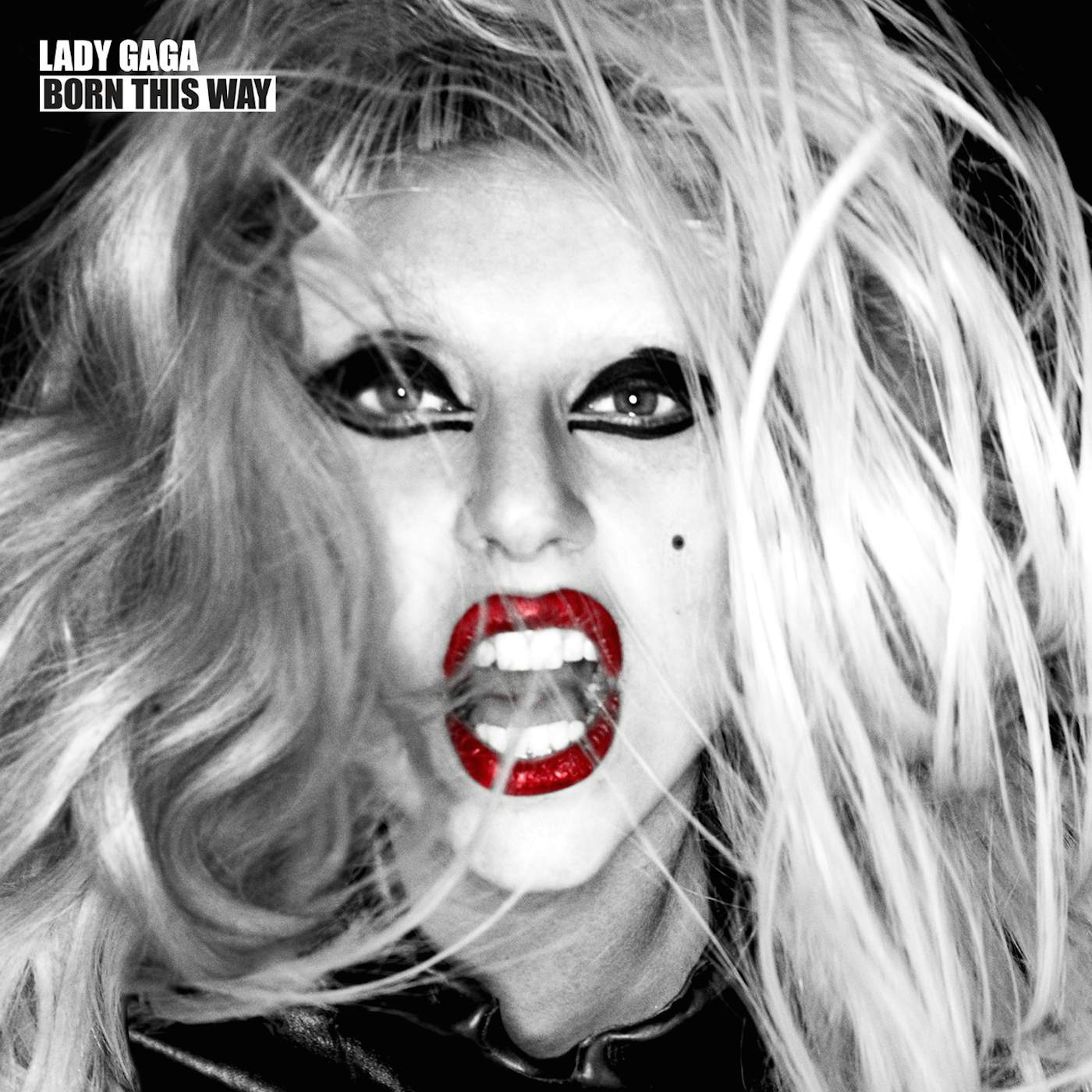 Lady Gaga Born This Way (2LP) Vinyl Record