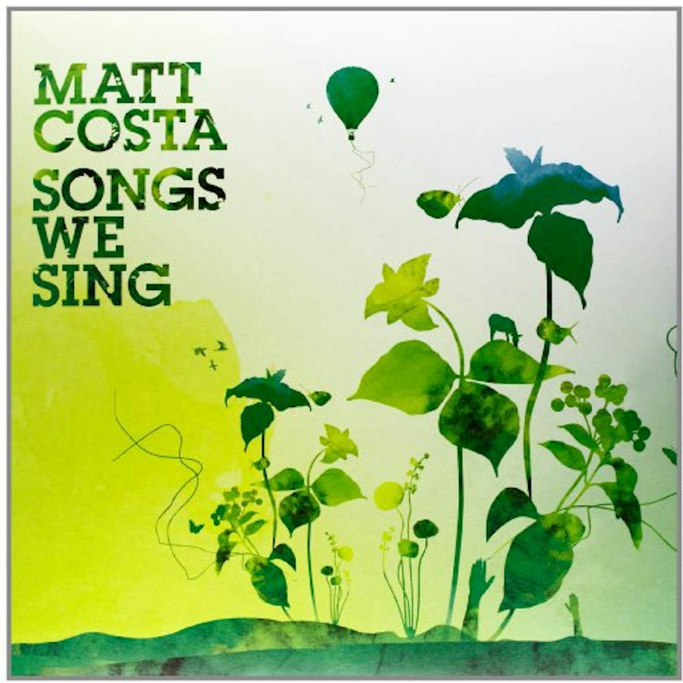 Matt Costa Songs We Sing Vinyl Record