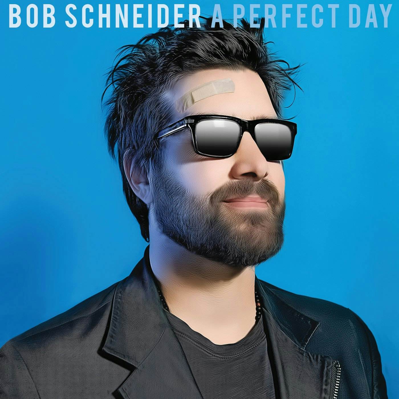 Bob Schneider PERFECT DAY CD