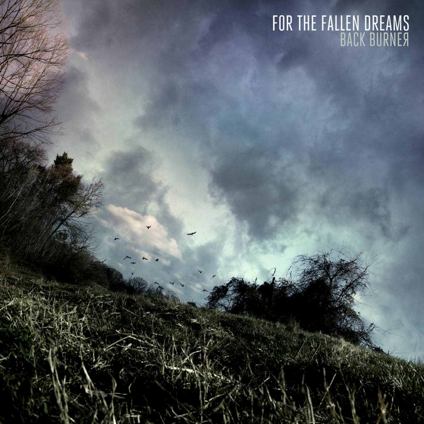 For The Fallen Dreams BACK BURNER CD