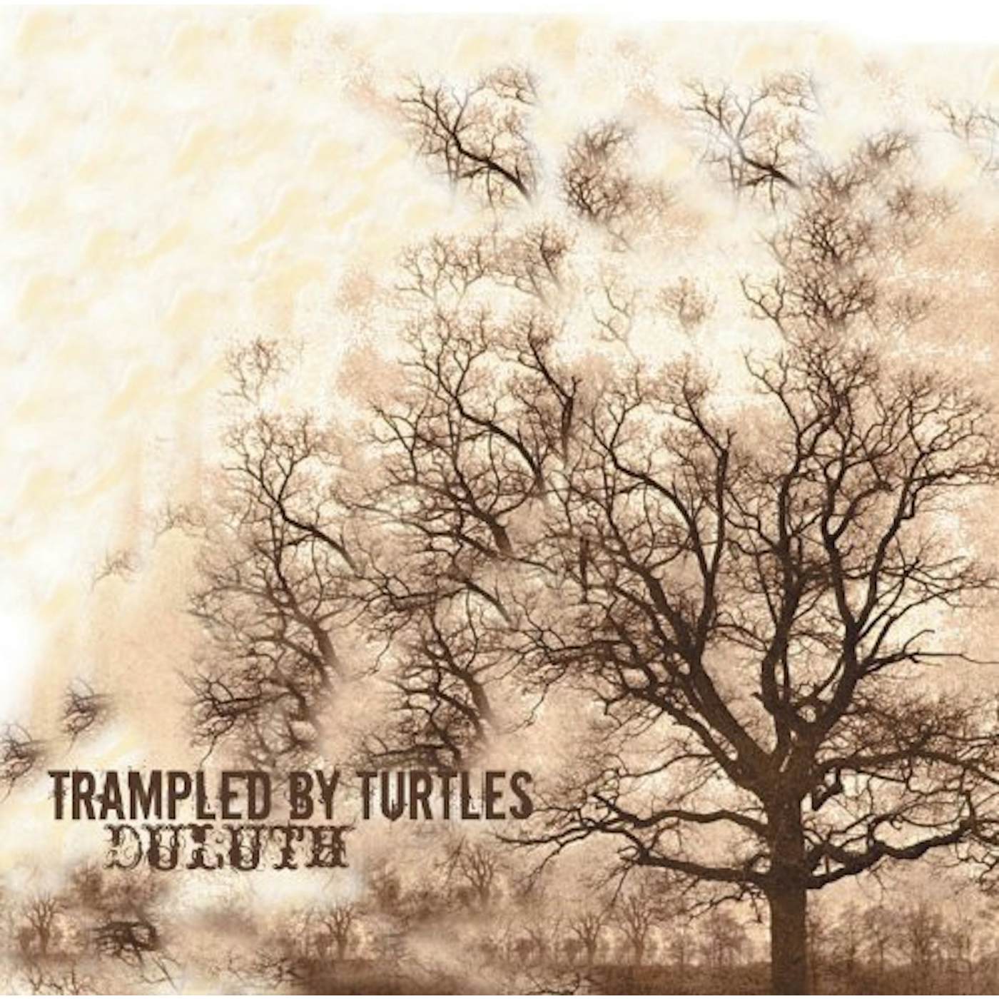 Trampled by Turtles Duluth Vinyl Record