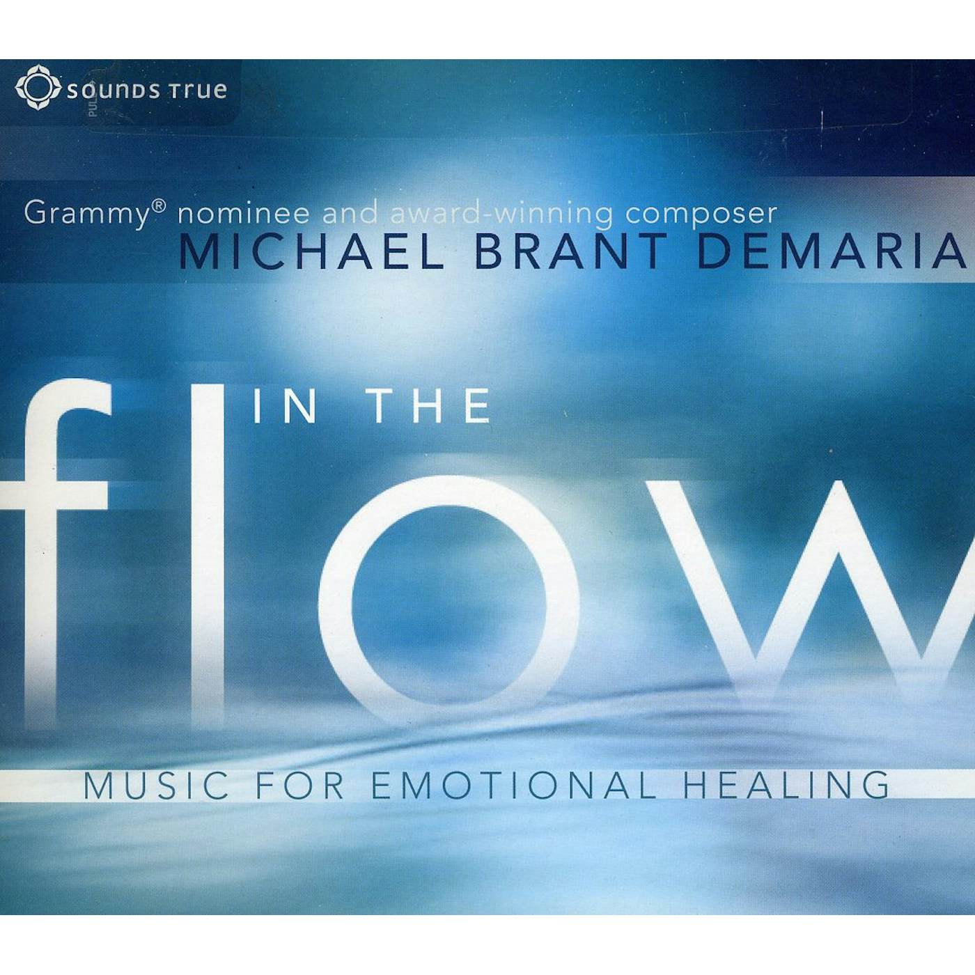 Michael Brant DeMaria IN THE FLOW CD